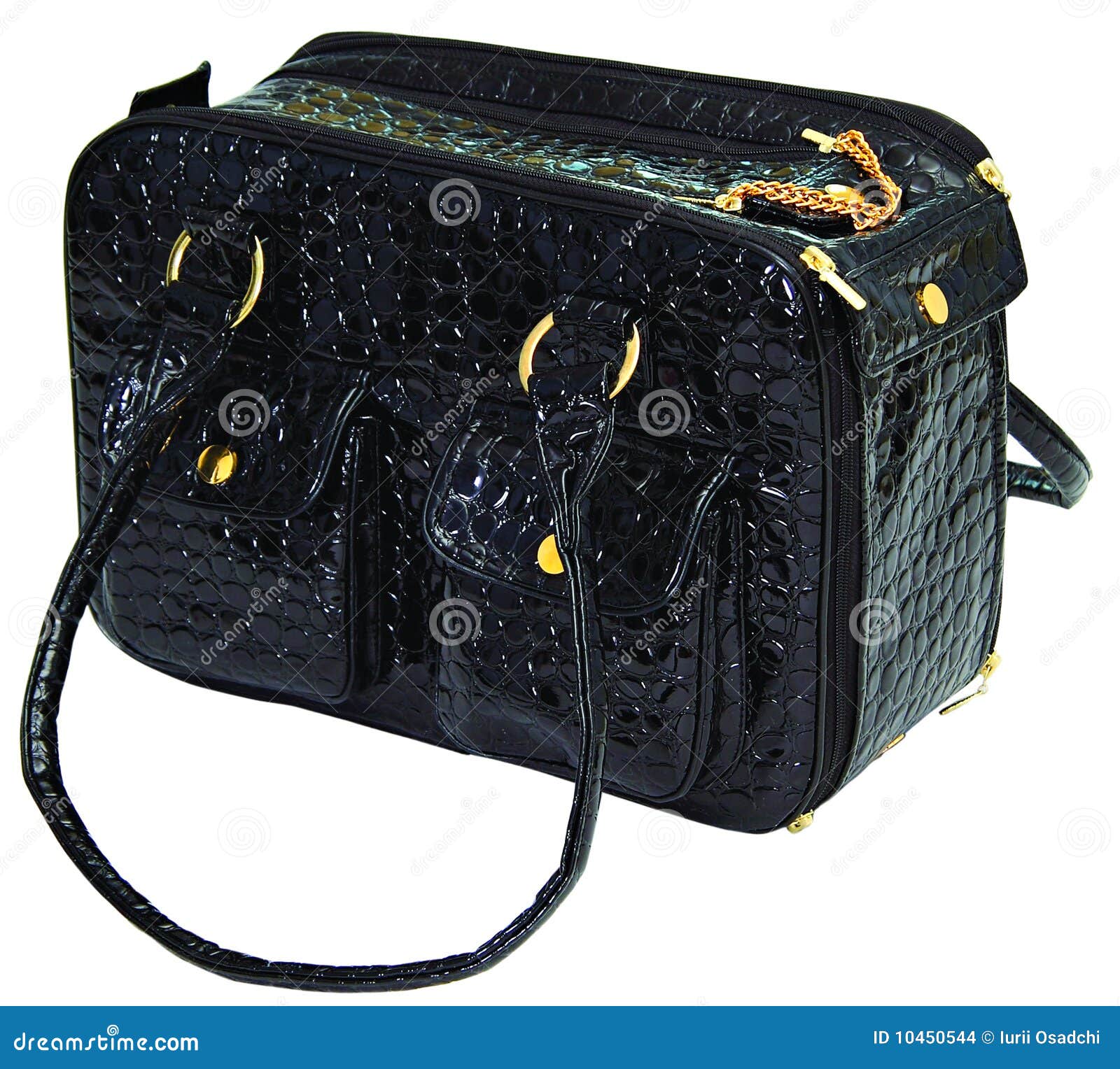 Black dog bag stock photo. Image of domestic, isolated 10450544