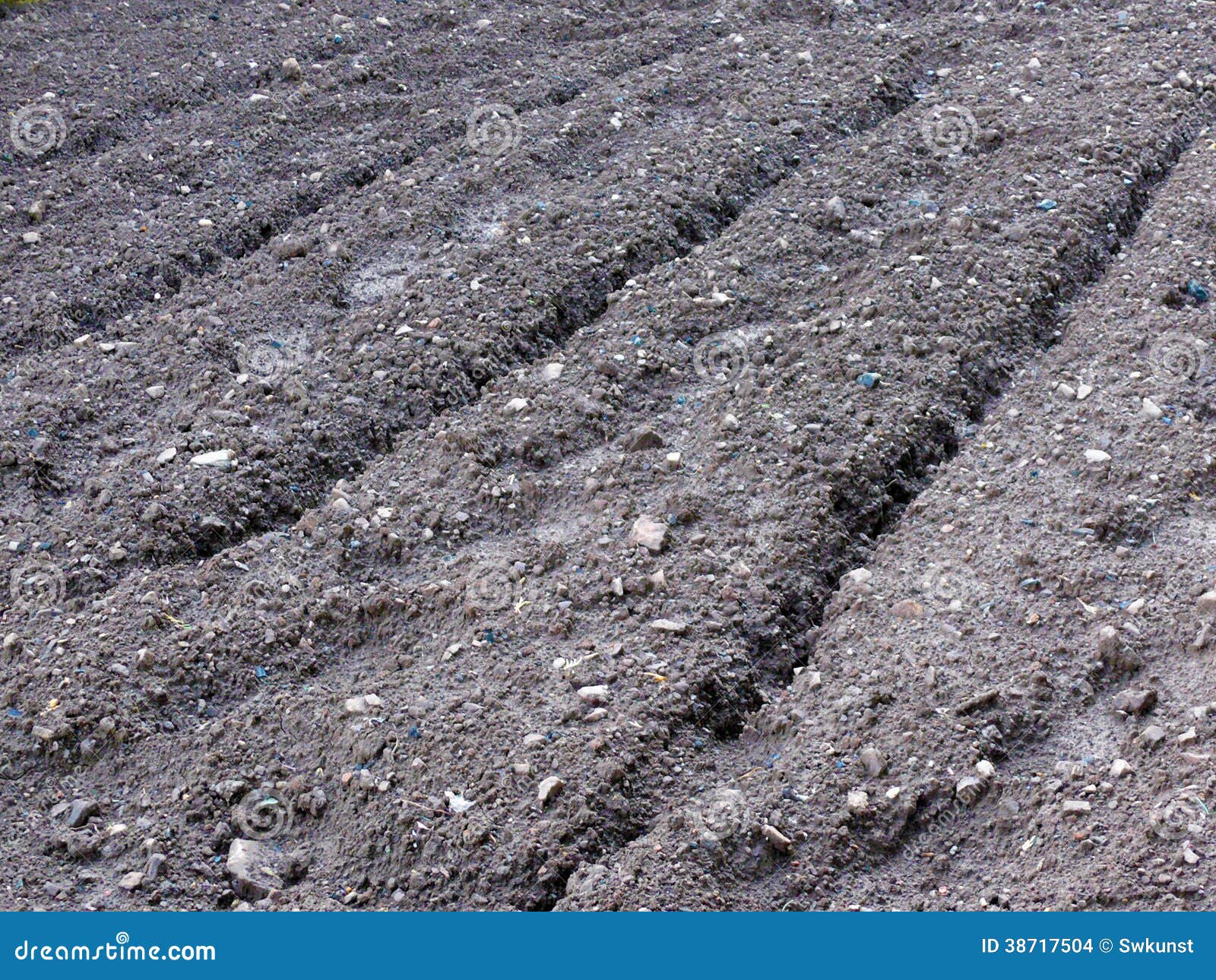 Black earth on field. stock photo. Image of earth, texture 38717504
