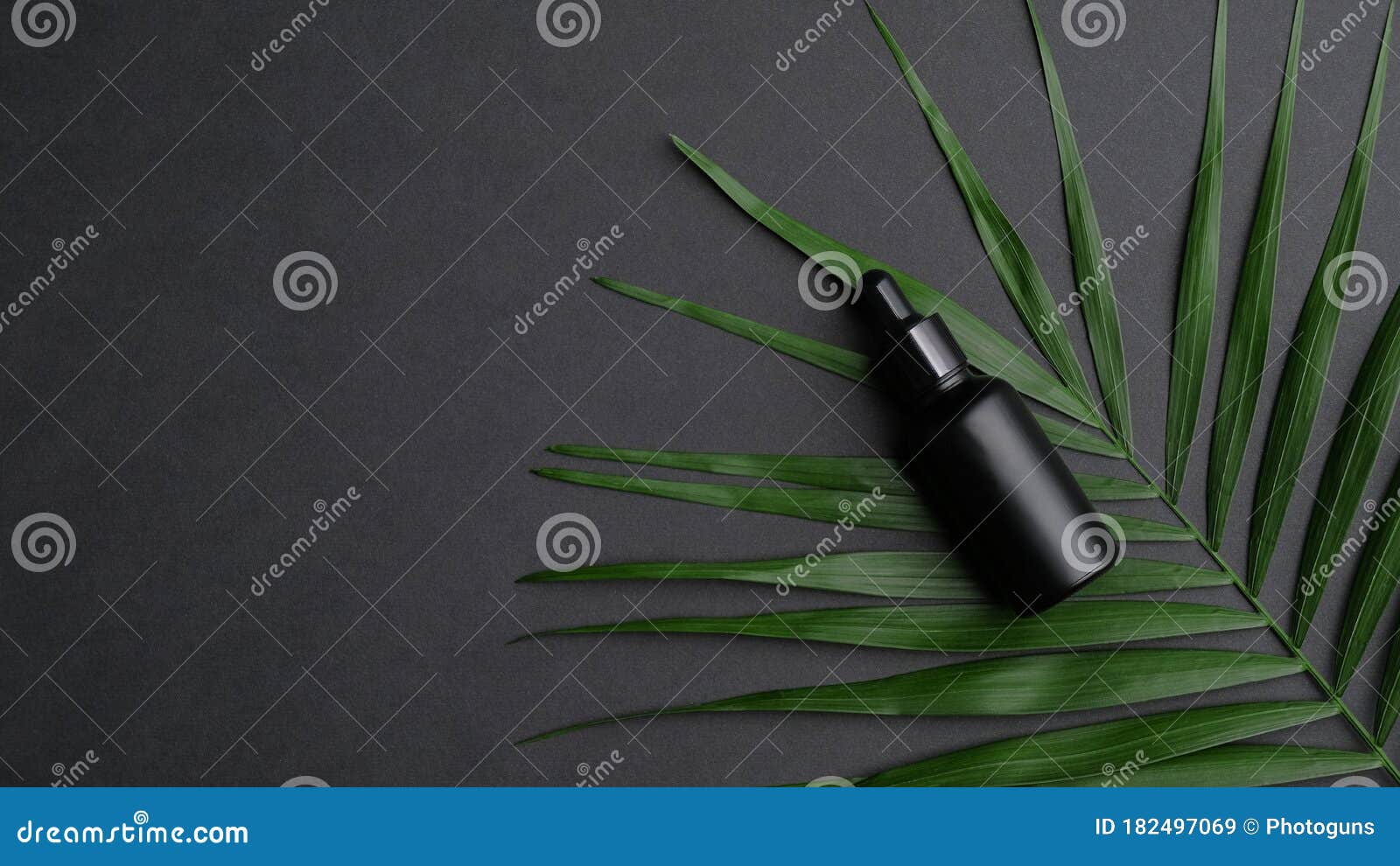 Download Black Essential Oil Dropper Bottle Mockup With Palm Leaf On Black Background. Luxury Cosmetic ...