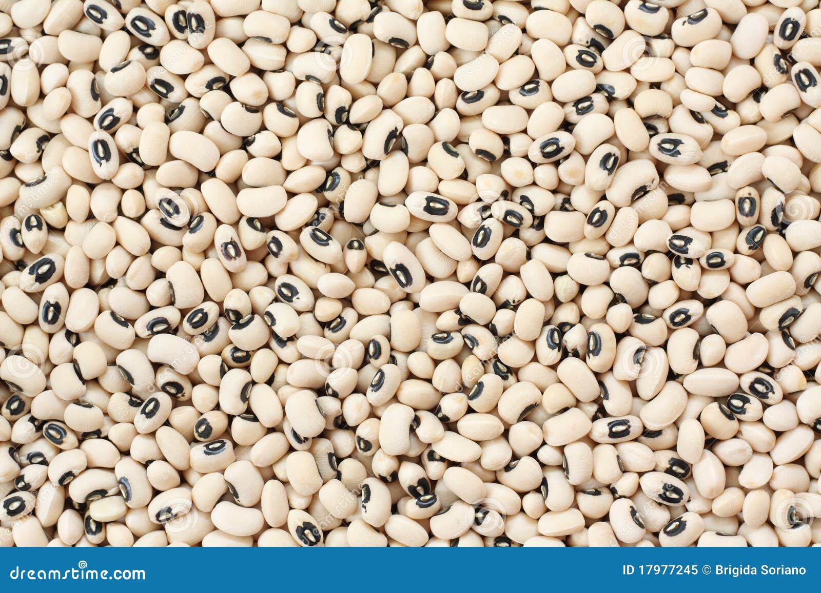 Black Eyed Beans stock image. Image of healthy, legume 17977245