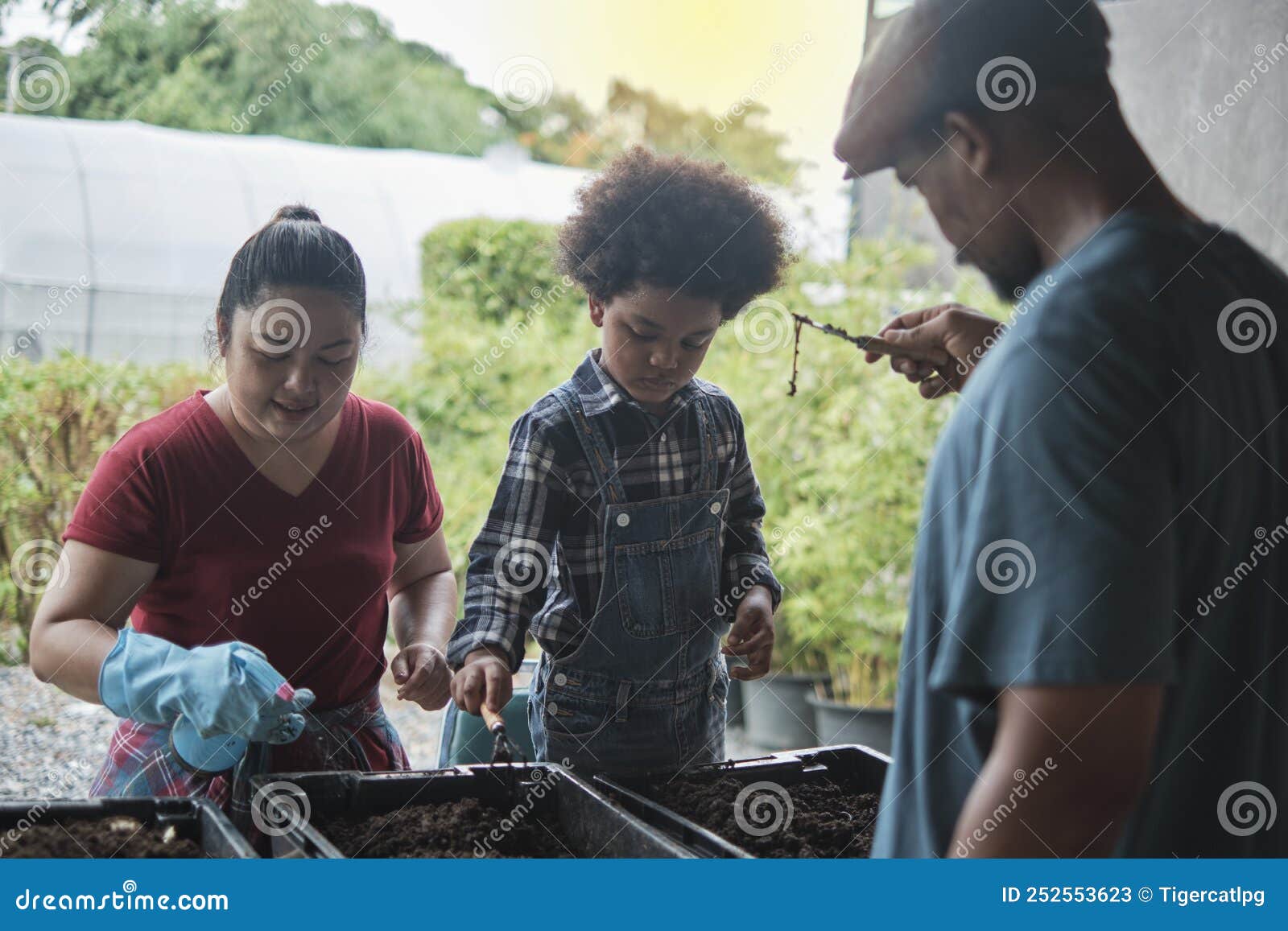 a black farmer family prepares bio-fertilizer together by earthworm in the soil