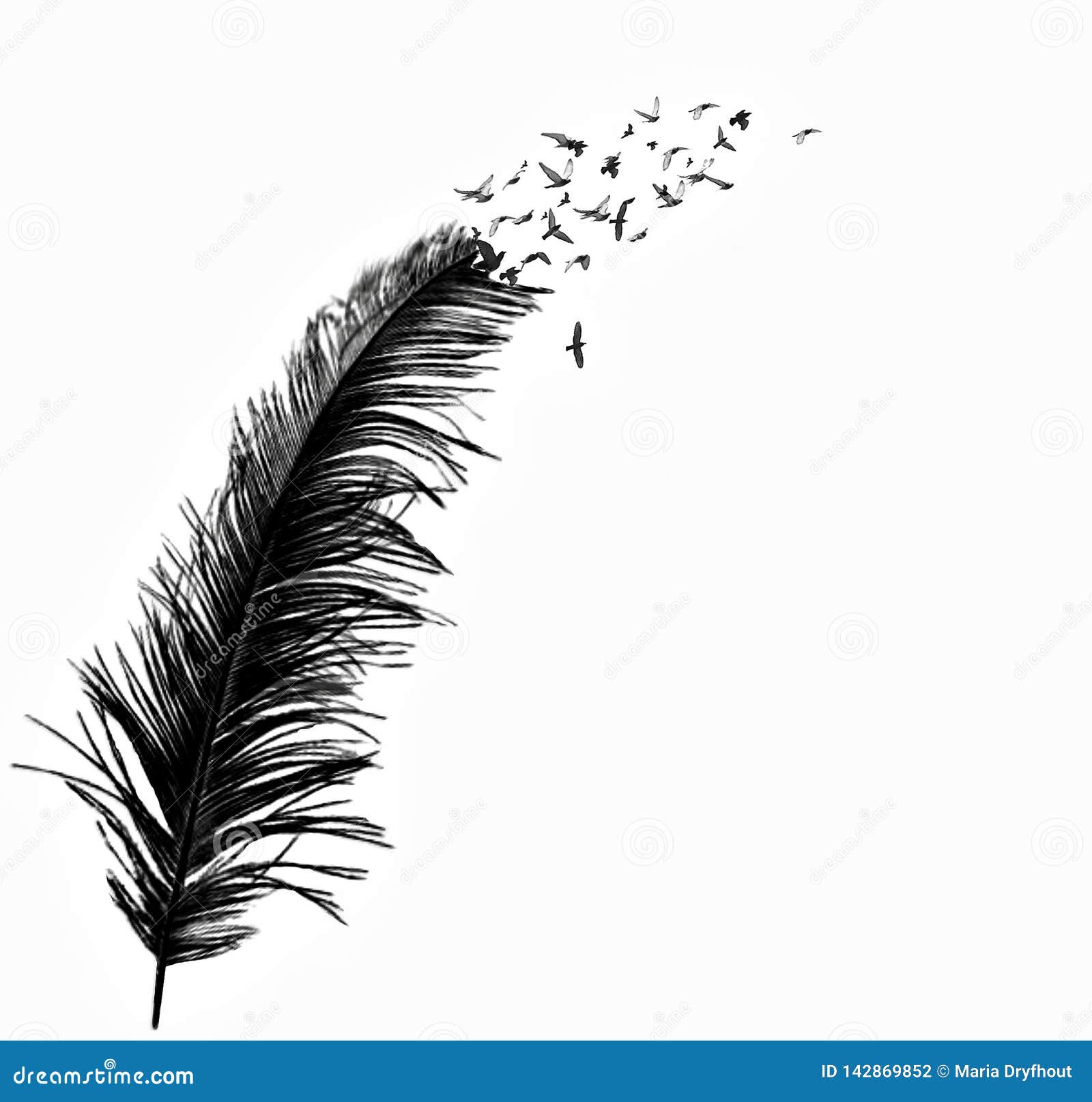 Black Feather Stock Illustrations – 140,234 Black Feather Stock  Illustrations, Vectors & Clipart - Dreamstime