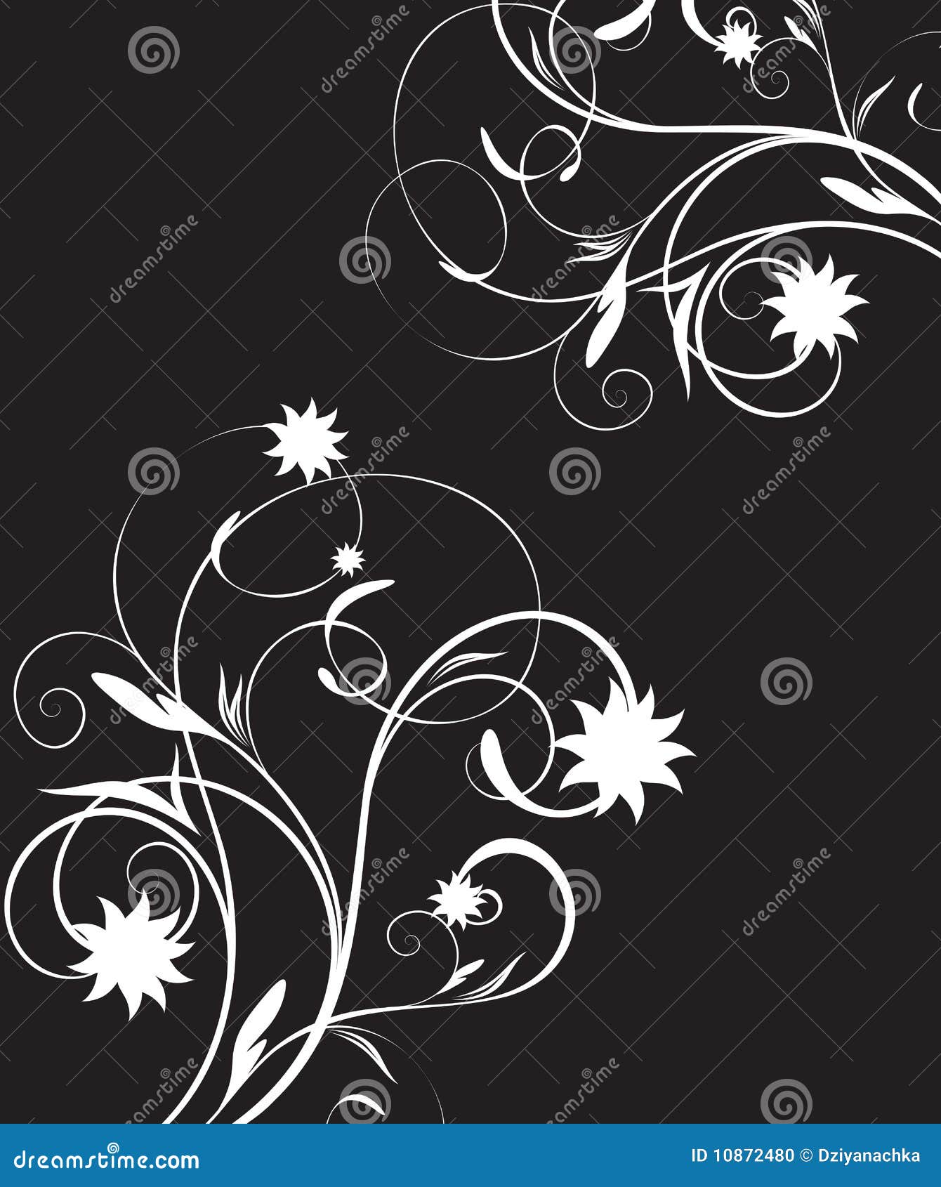 Black floral abstraction stock vector. Illustration of black 10872480