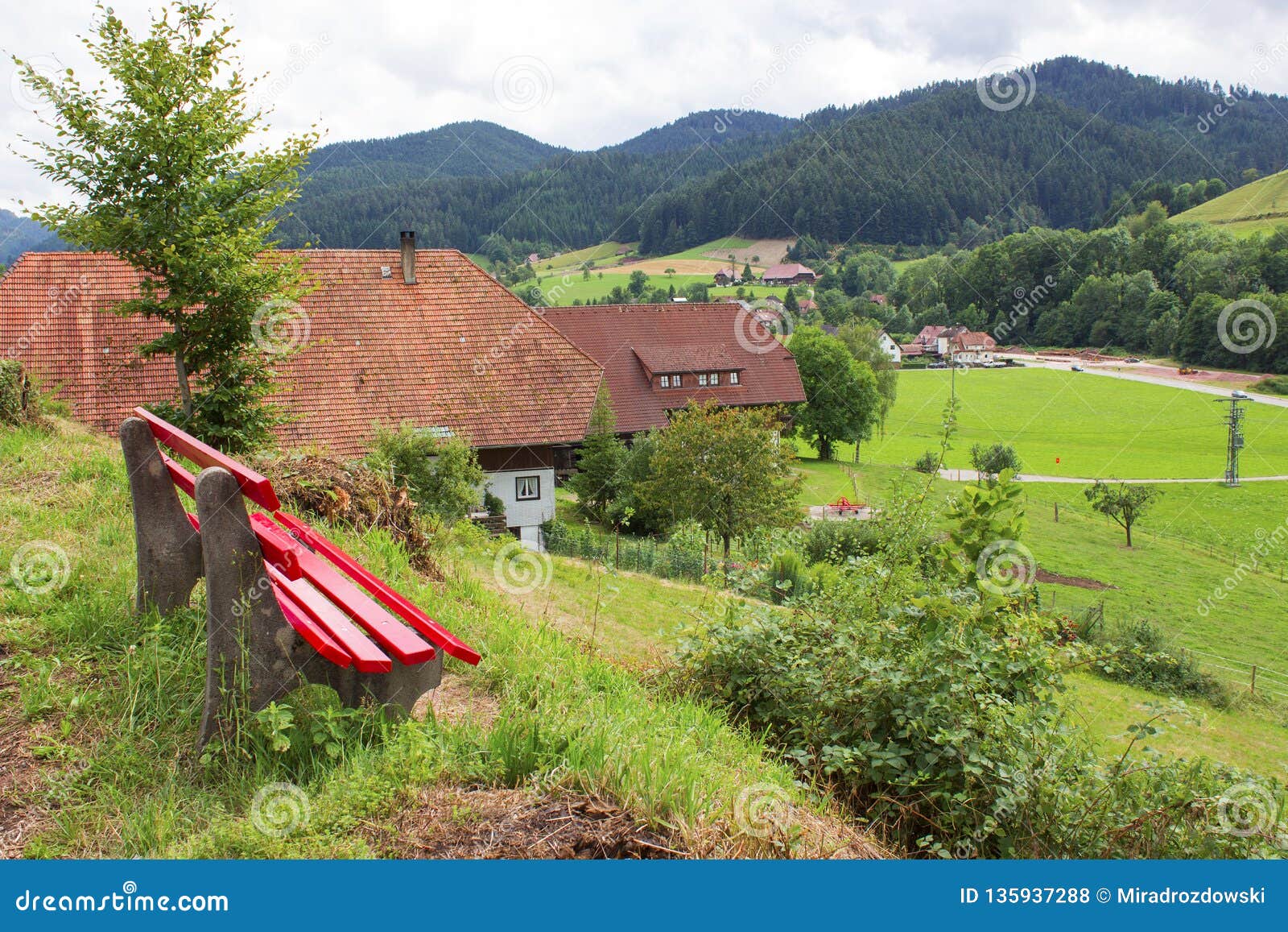 Black Forest in Germany stock photo. Image of house 135937288
