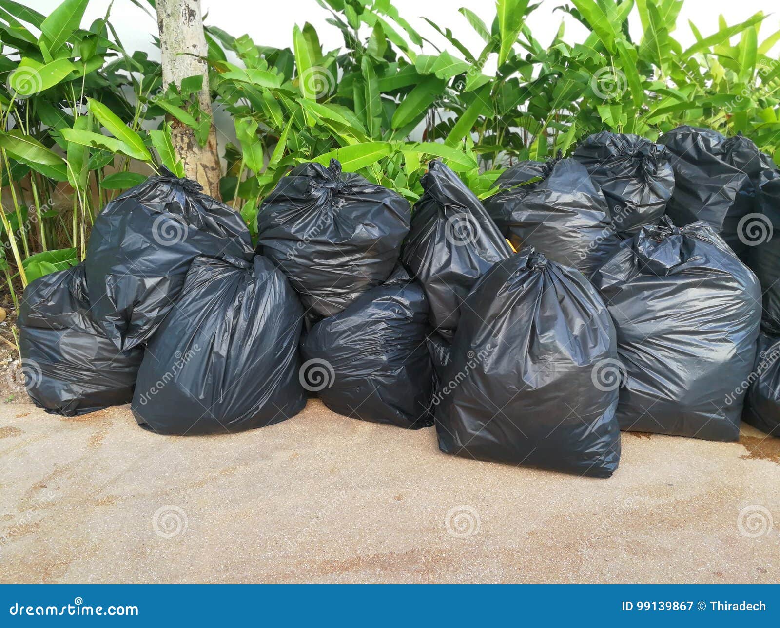 Black garbage bag stock image. Image of white, dump, plastic 99139867