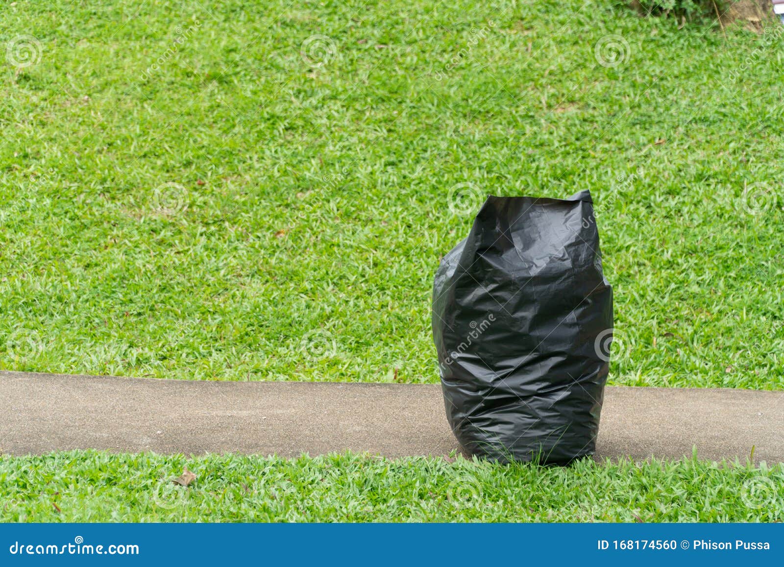 https://thumbs.dreamstime.com/z/black-garbage-bags-green-grass-black-garbage-bags-green-grass-park-168174560.jpg