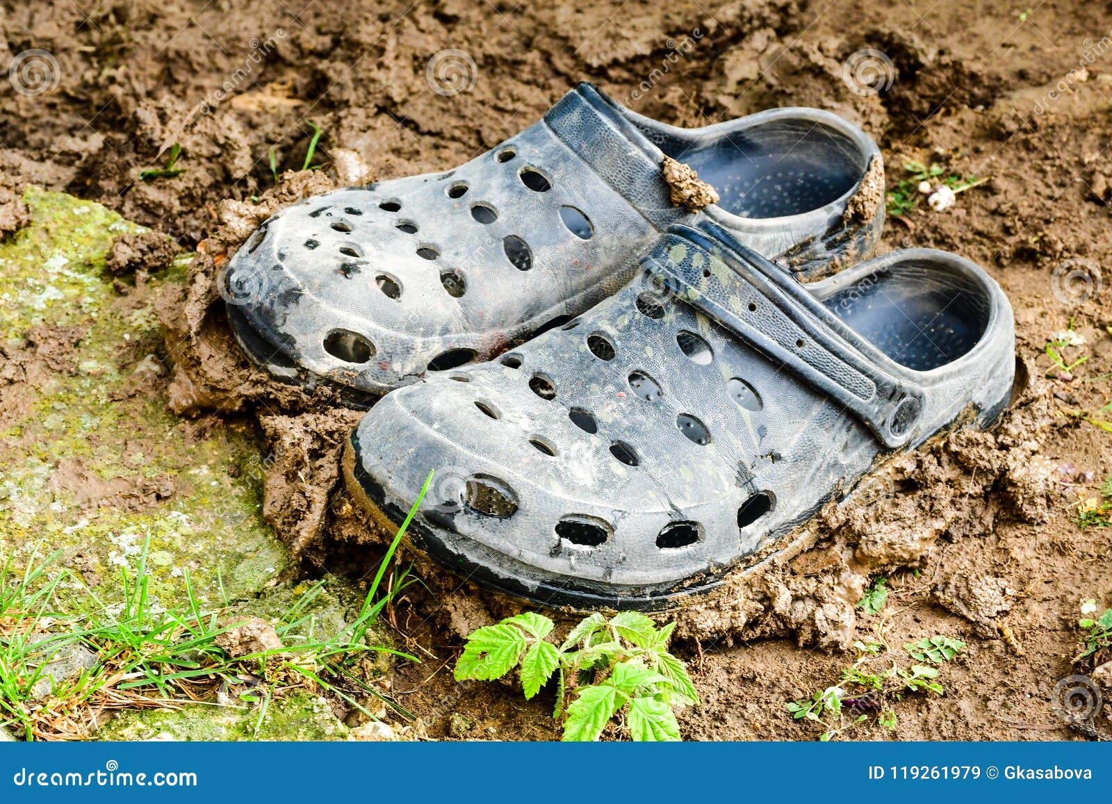 crocs for gardening