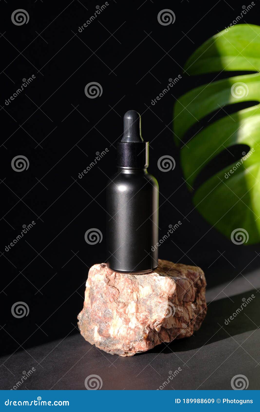Download Black Glass Dropper Bottle Mockup On Stone With Tropical ...