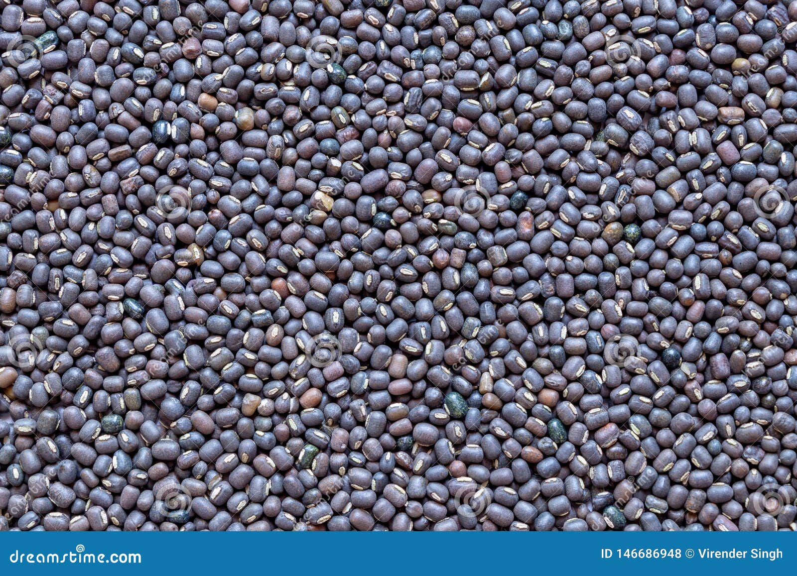 black gram lentils  or skinned urad dal, closeup