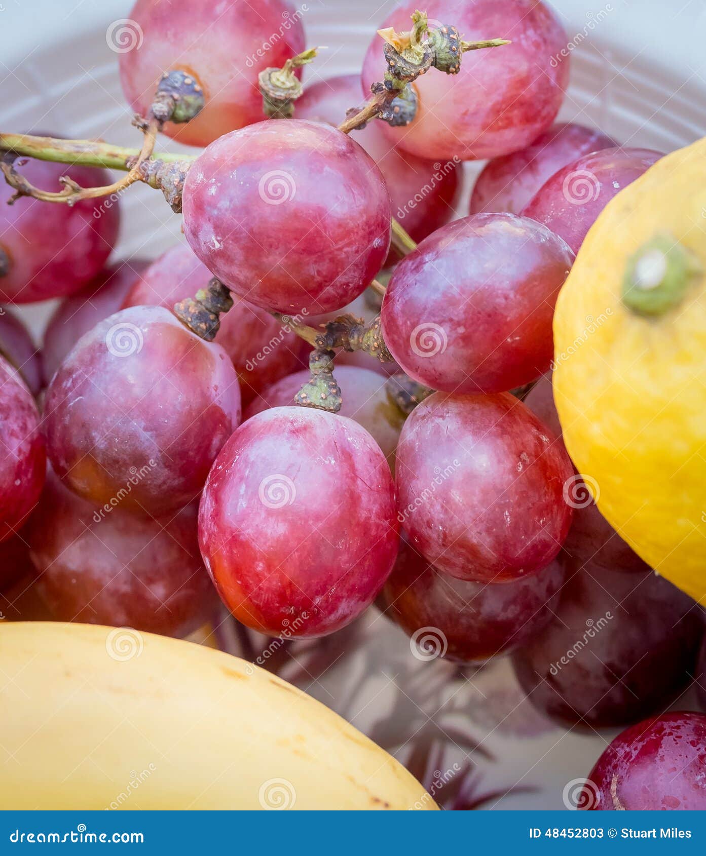 Black Grapes Indicates Organic Products and Fruit Stock Image Image
