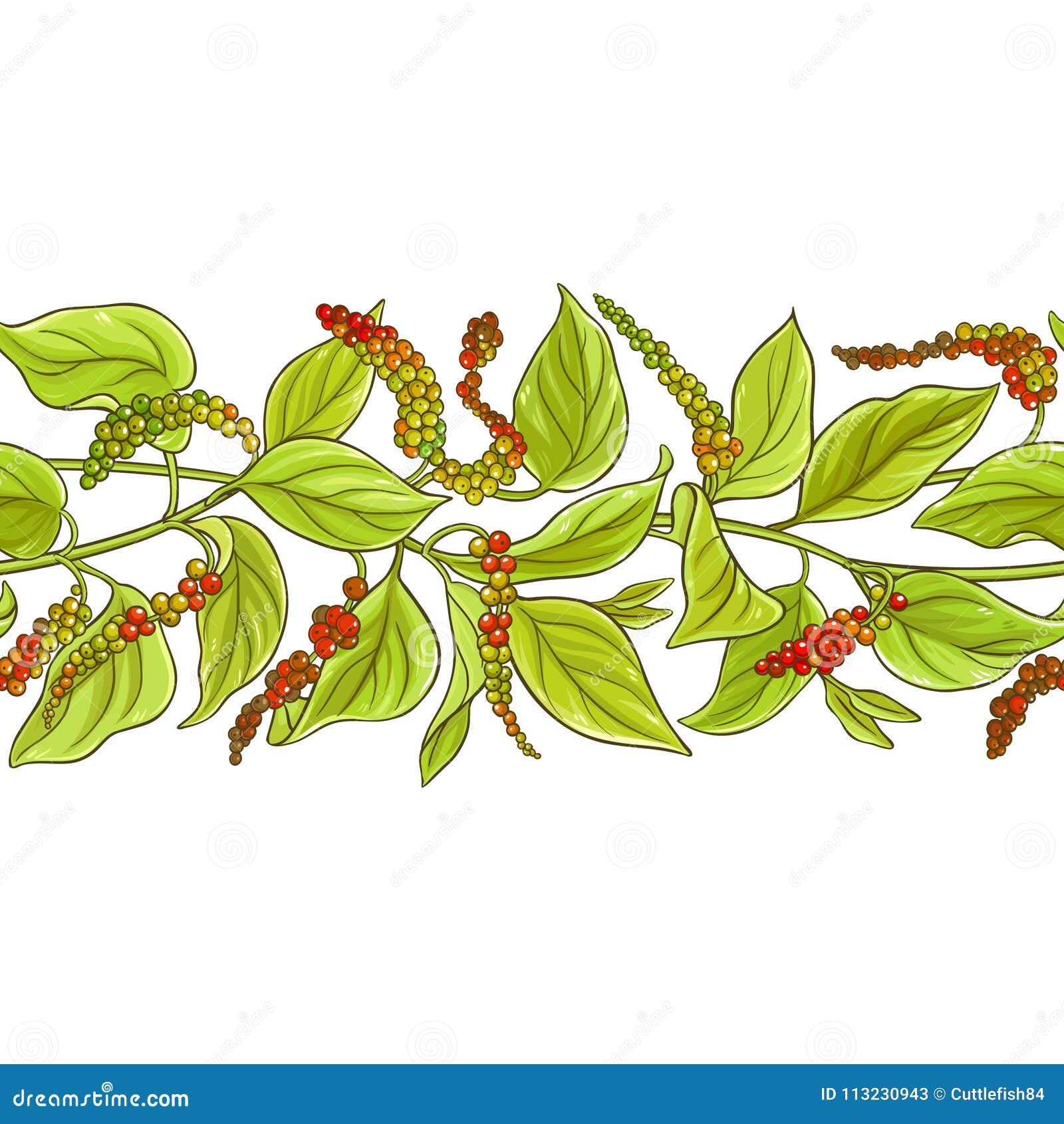 Black ground pepper stock vector. Illustration of nature 113230943