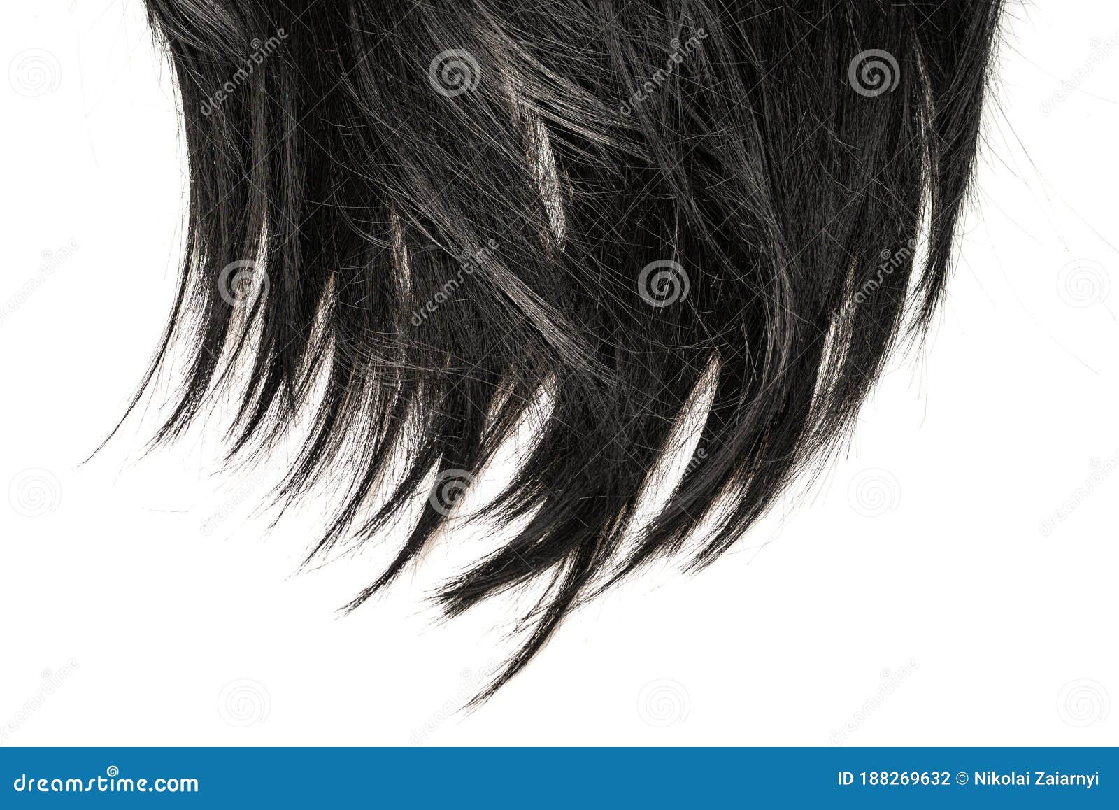 Black Hair Tips Isolated on White Stock Photo - Image of dark, black:  188269632
