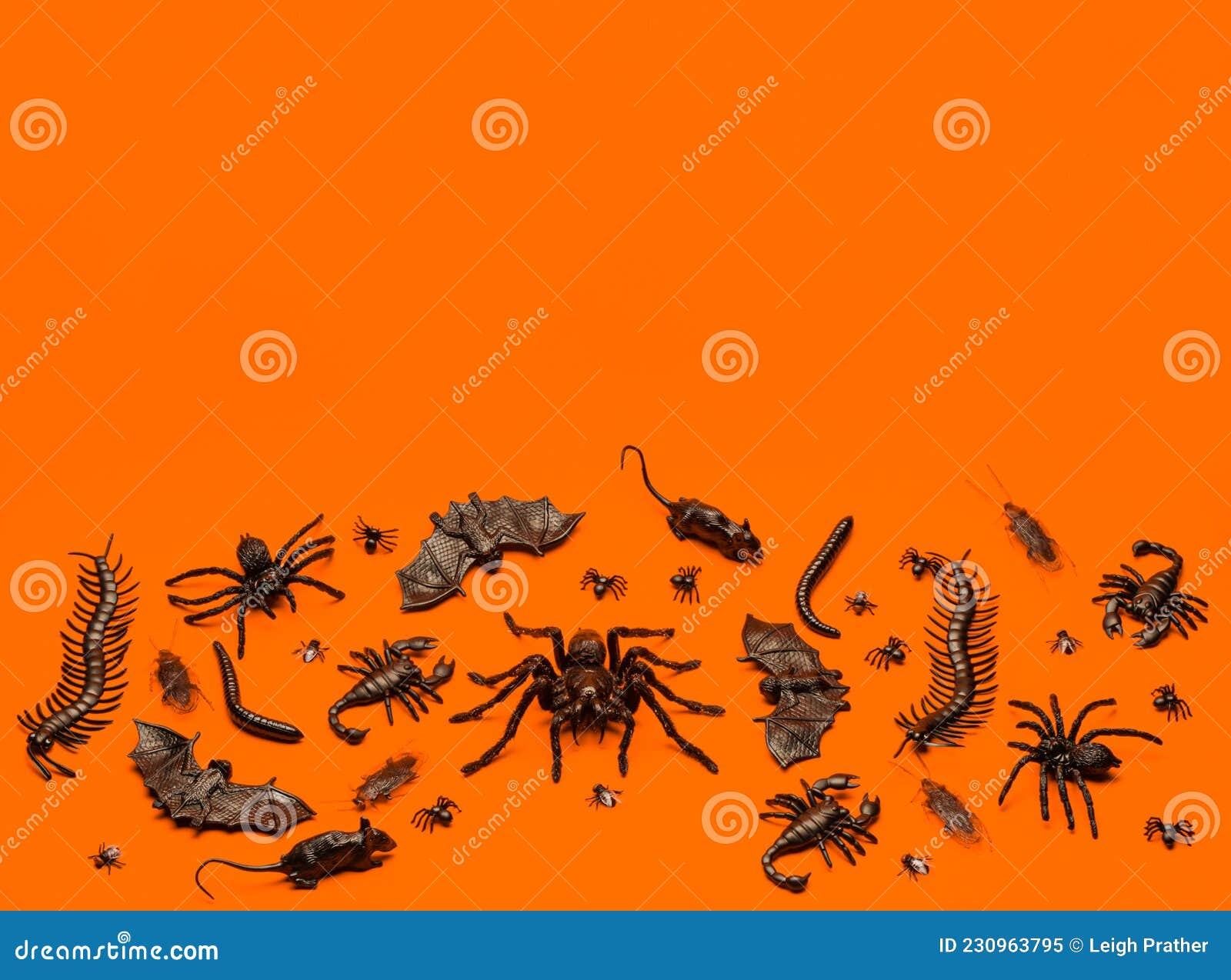 black halloween creepy crawly bugs and spiders on orange background with blank space for text