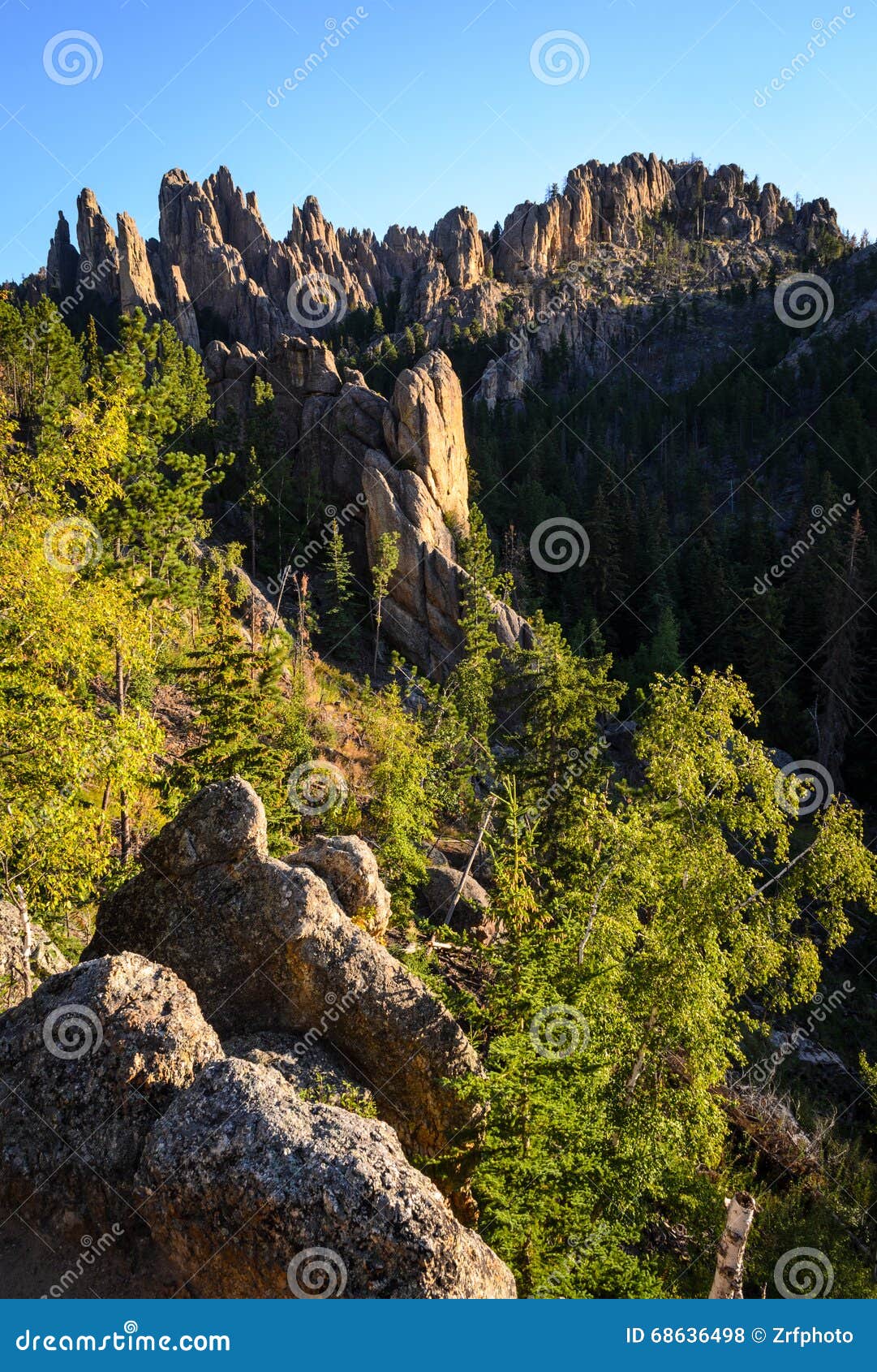 Black Hills stock photo. Image of hills, america, outdoors 68636498