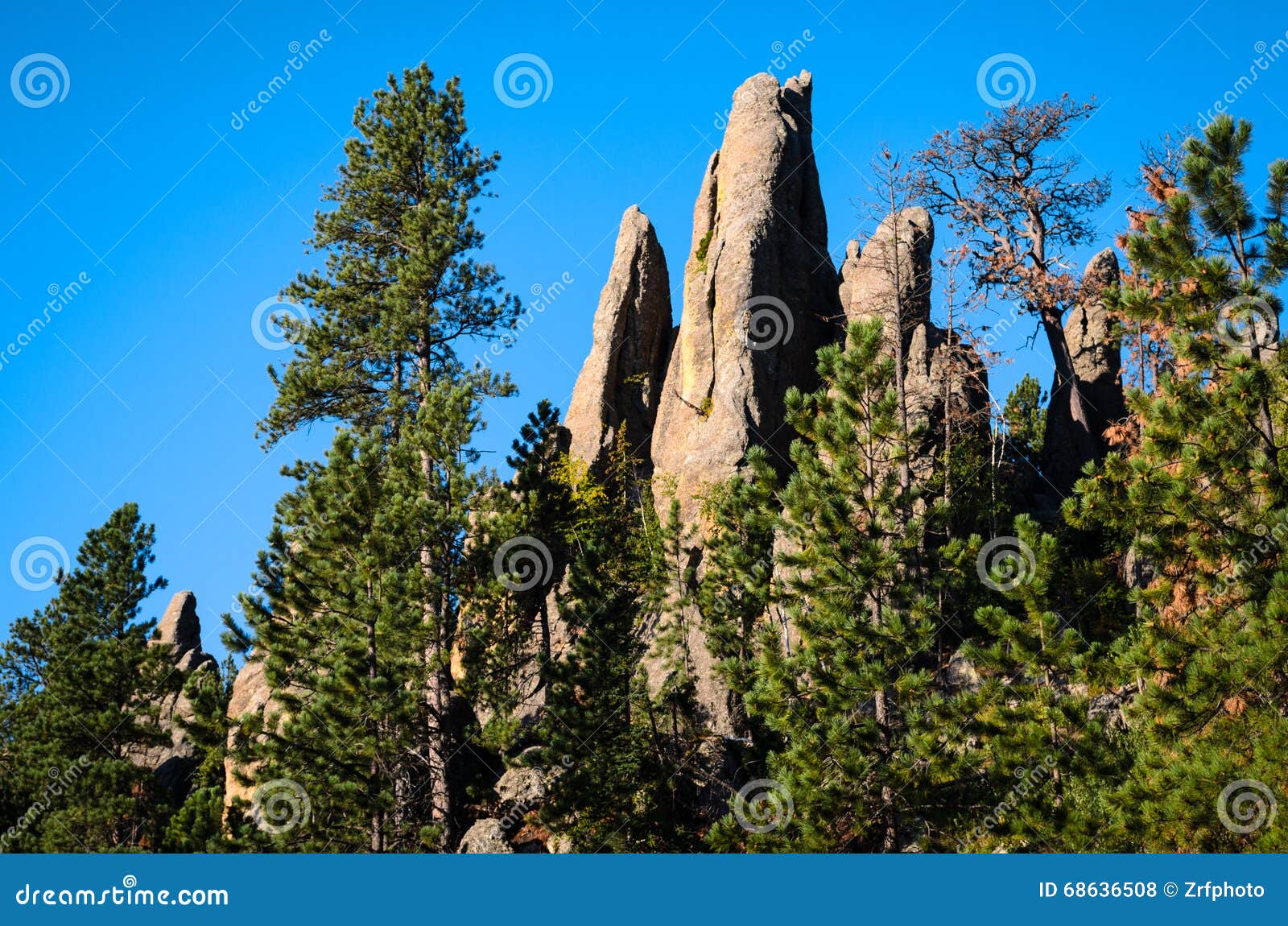Black Hills stock photo. Image of indian, outdoors, dakota 68636508