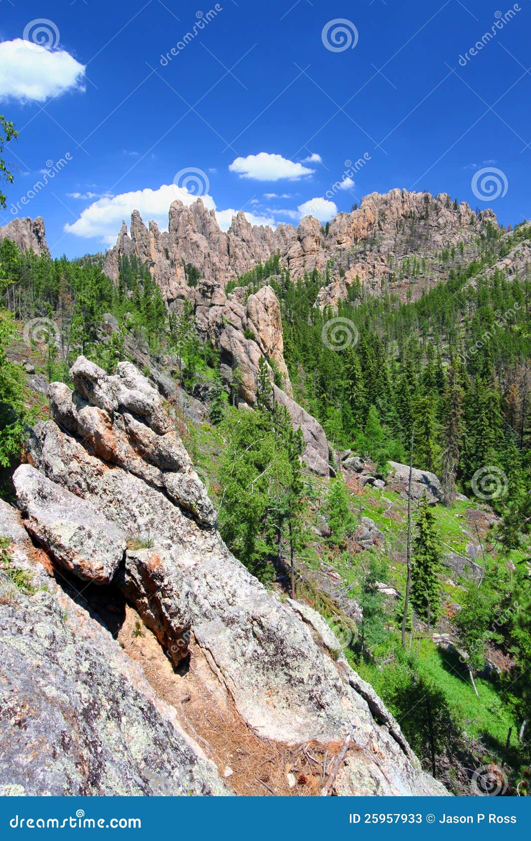 Black Hills of South Dakota Stock Image Image of park, dakota 25957933