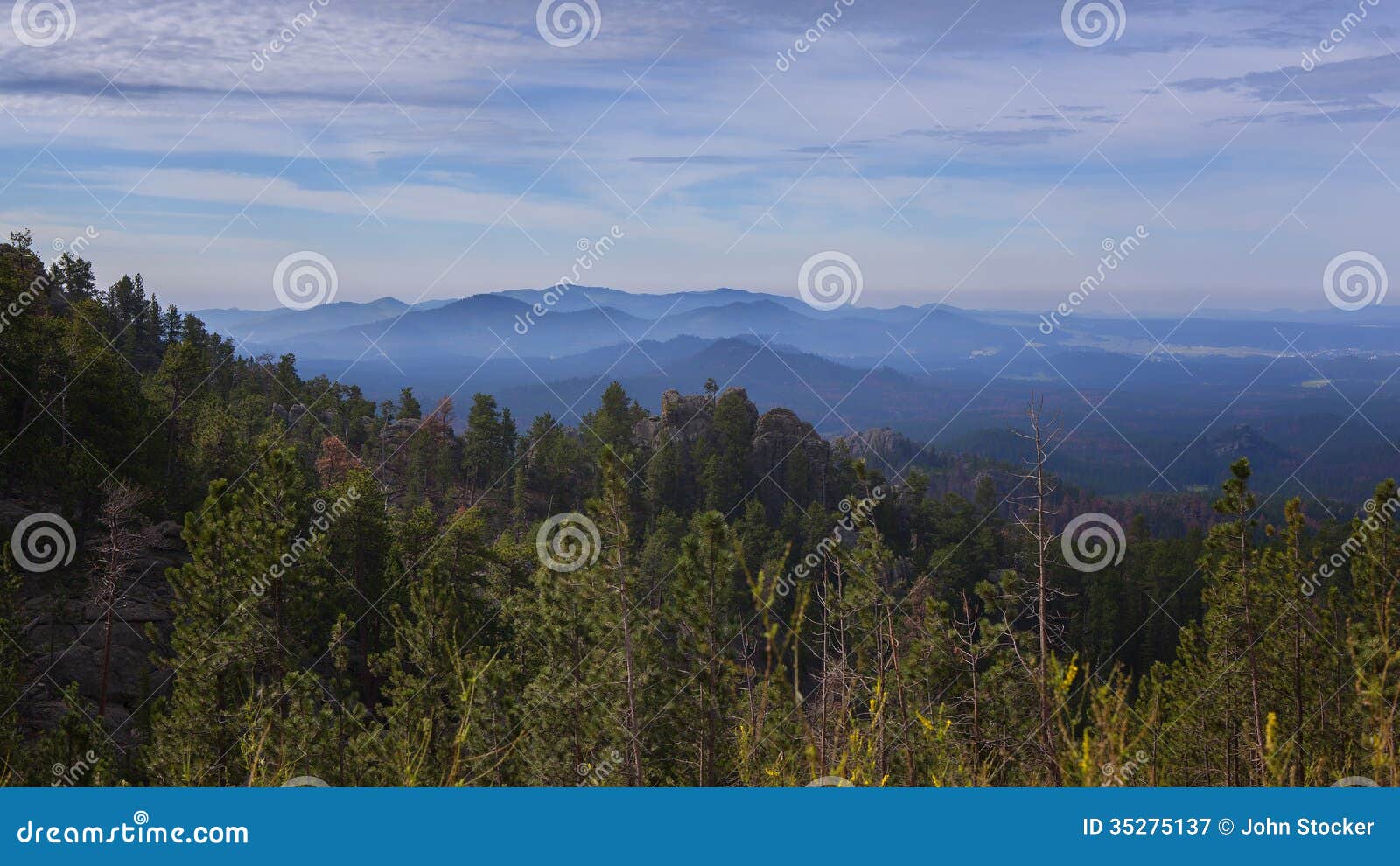 black hills view