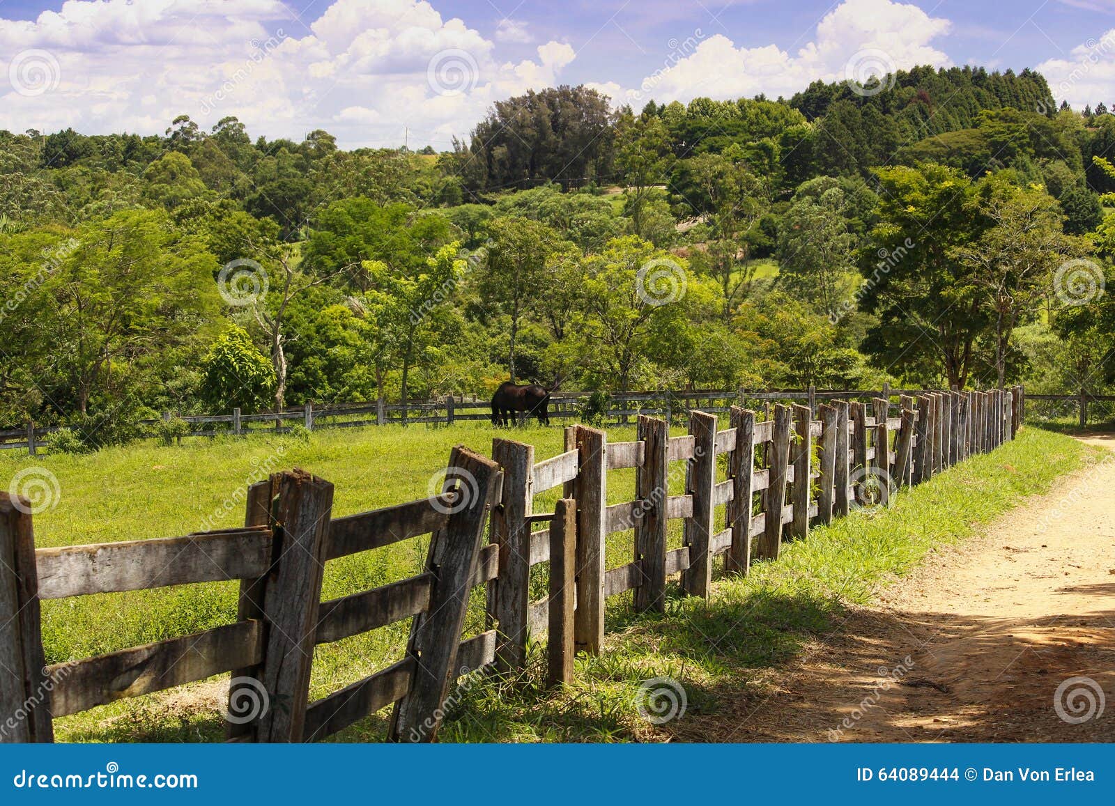 Black horse in the farm stock photo. Image of relaxing 64089444