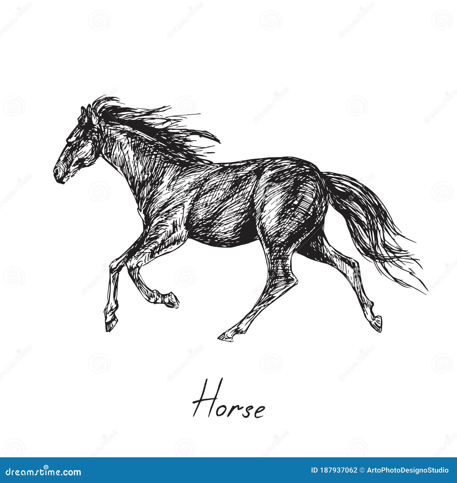 Running Horse Drawing by Olga Tsikhanovich - Fine Art America