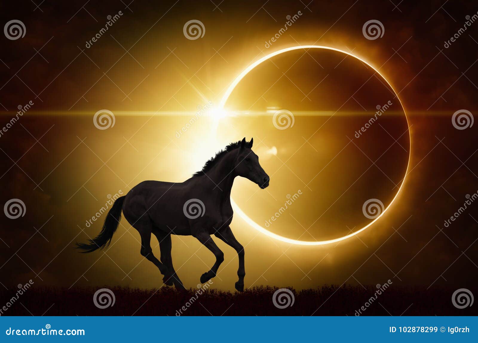 black horse on total solar eclipse background