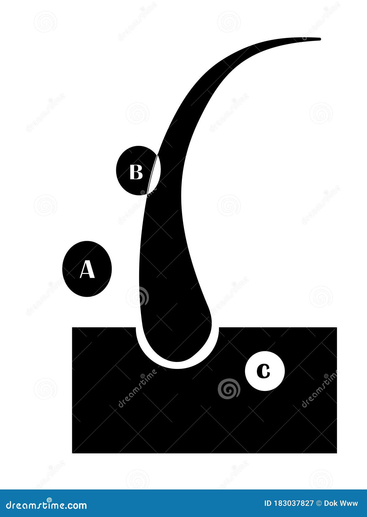 Black Icon of Nutrition with Vitamins for Care of Vitamins Stock Vector - Illustration of split, protect: 183037827 Black Icon of Nutrition with Vitamins for Care of Vitamins Stock Vector - Illustration of split, protect: 183037827