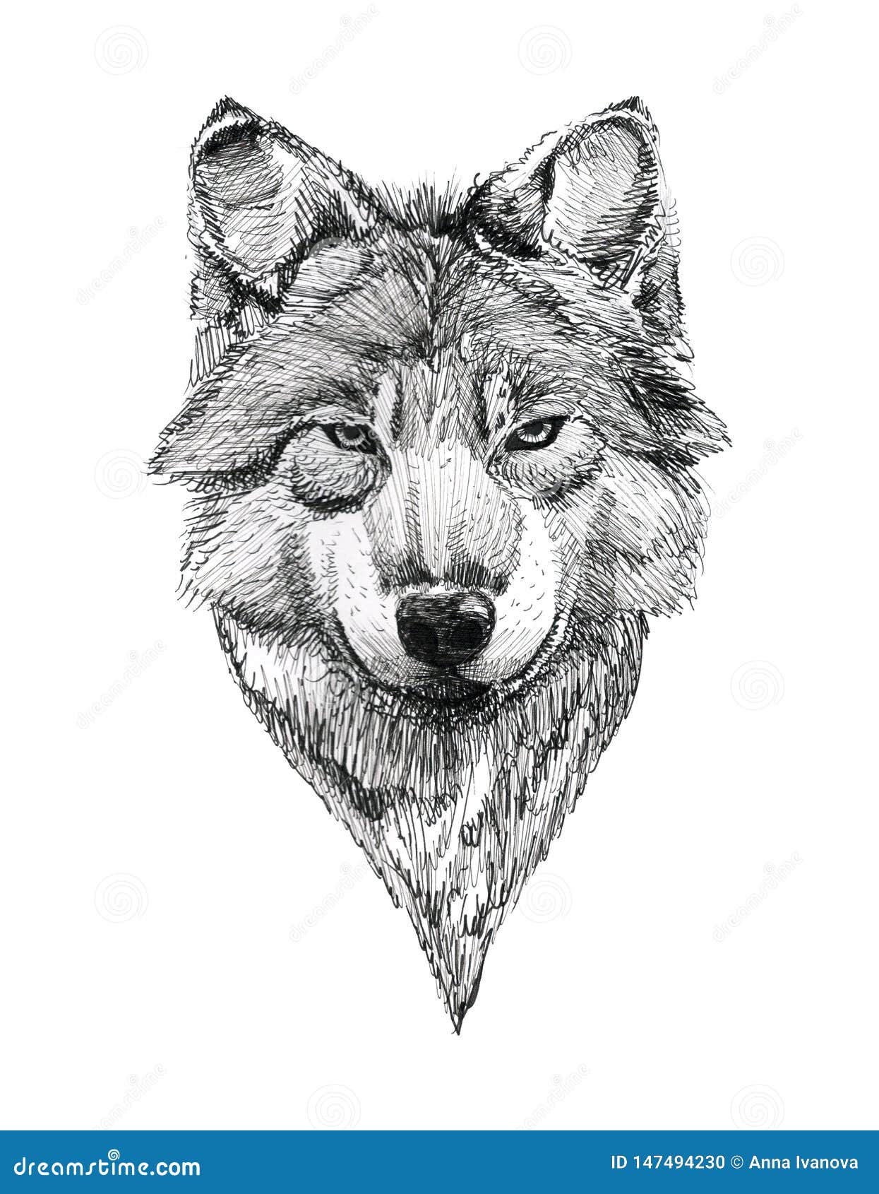Black Ink Tattoo Hand Drawn Wolf Portrait Stock Illustration - Illustration  of sketch, feline: 147494230