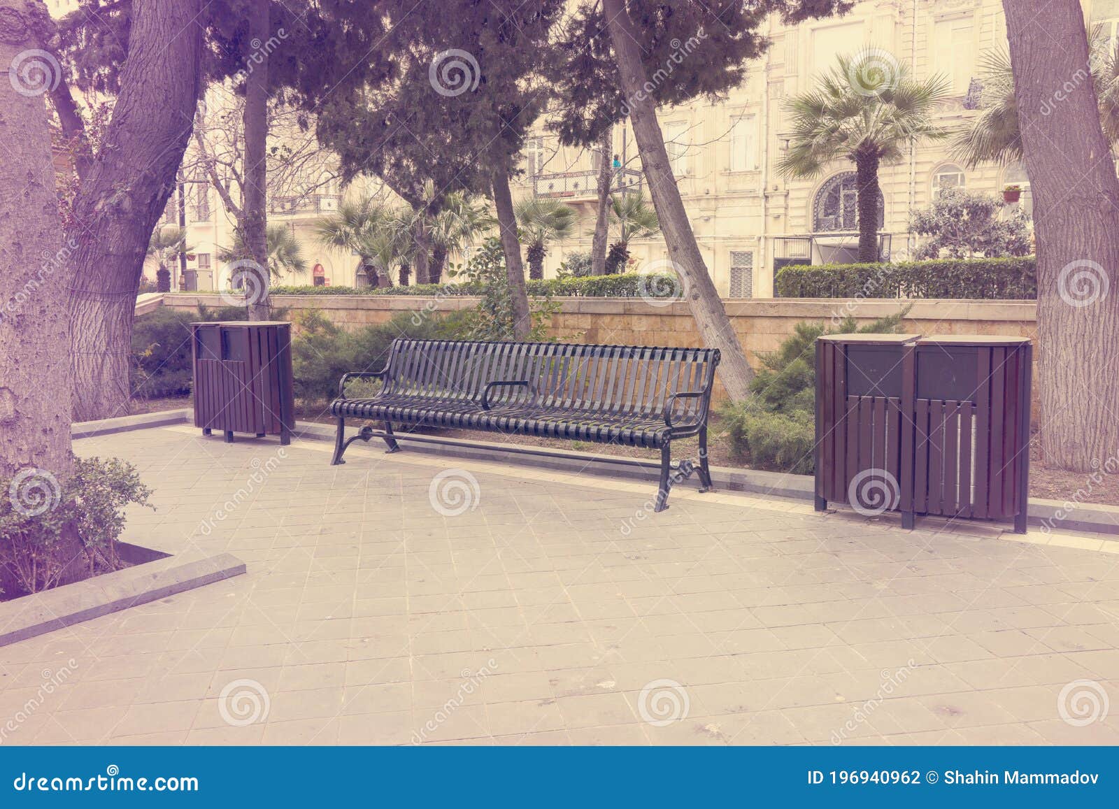 Black Iron Benches are in the City Park Stock Photo Image of city