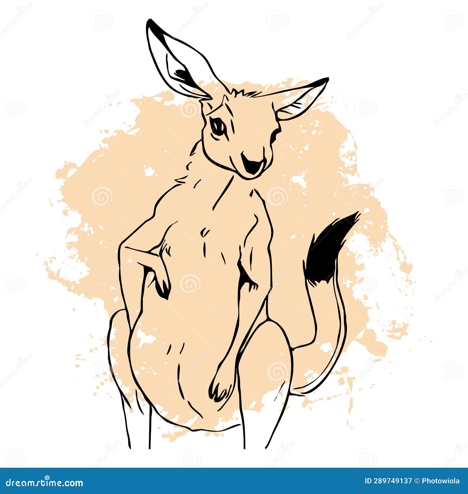 black kangaroo on a white background. animals line art. logo  for use in graphics. print for t-shirts,  for tattoos