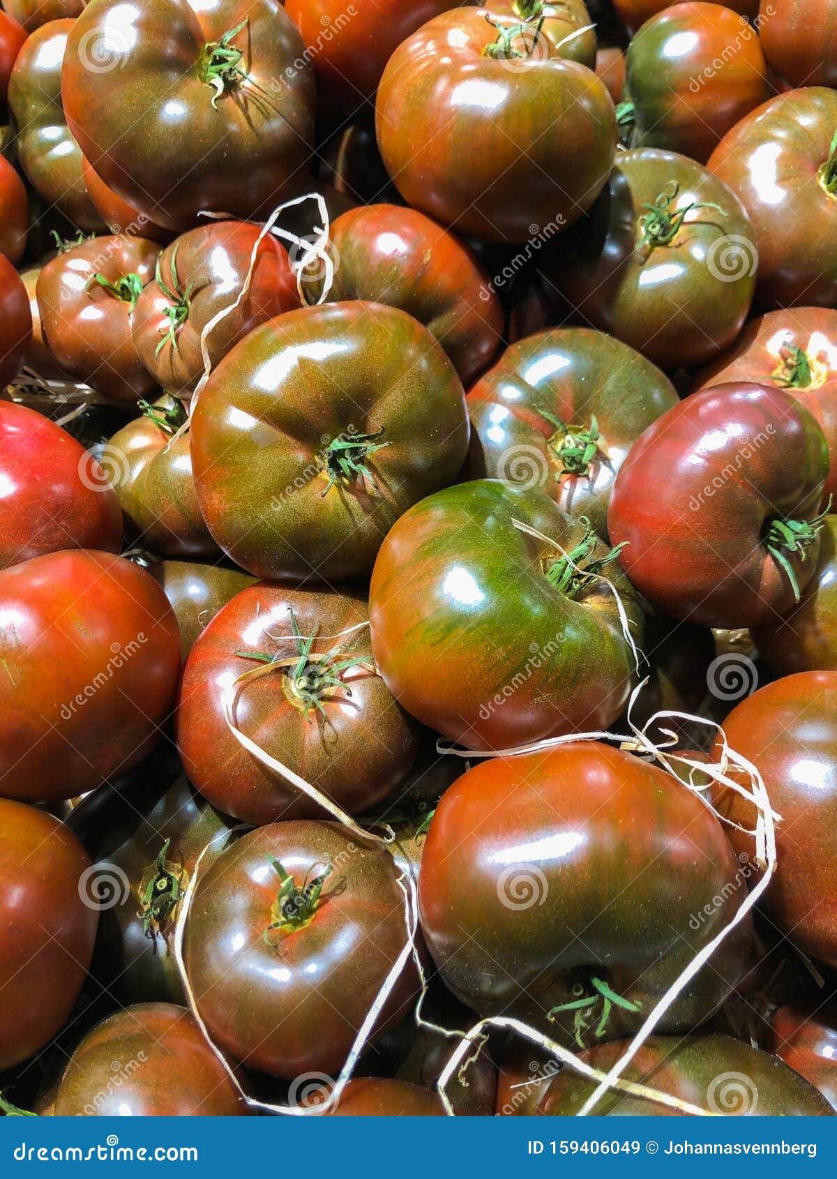 Black Krim Tomato Plant Stock Photos Free & RoyaltyFree Stock Photos