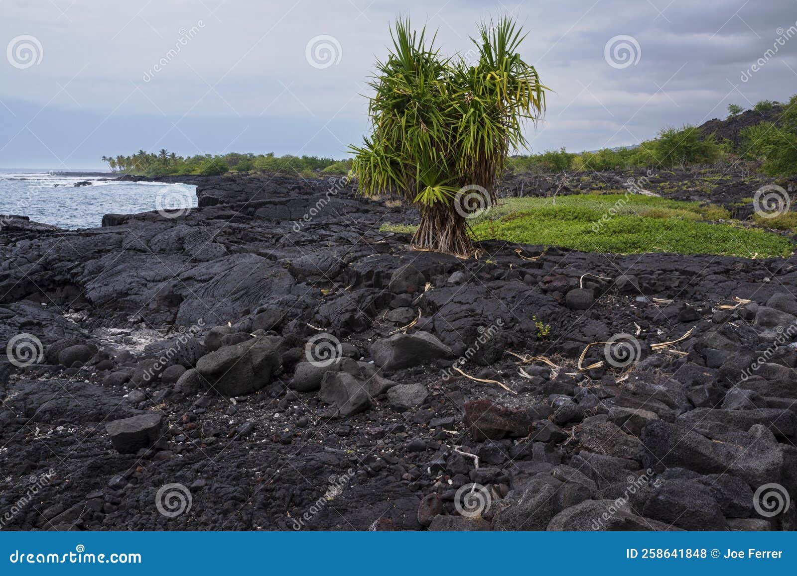 Black Lava Rock and Coastline at Alahaka Bay Stock Photo - Image of ...