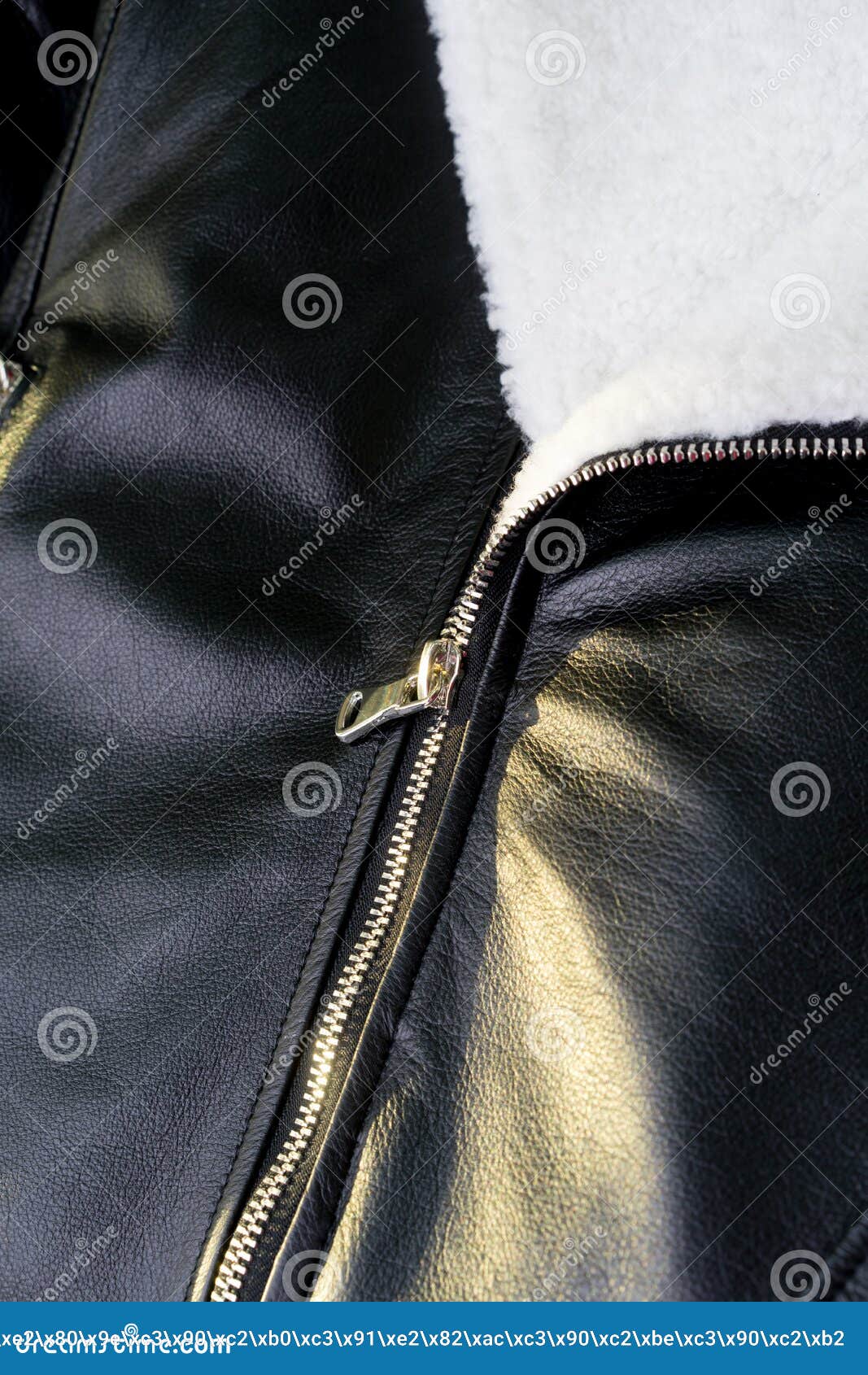 Black Leather Jacket Zipper Close Up Stock Image Image of sexual
