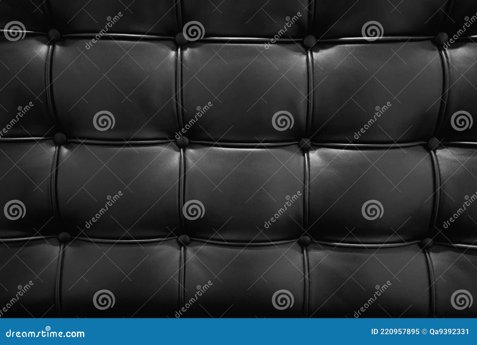 Black Leather Sofa Texture in Royal Style. Elegant Embossed Black