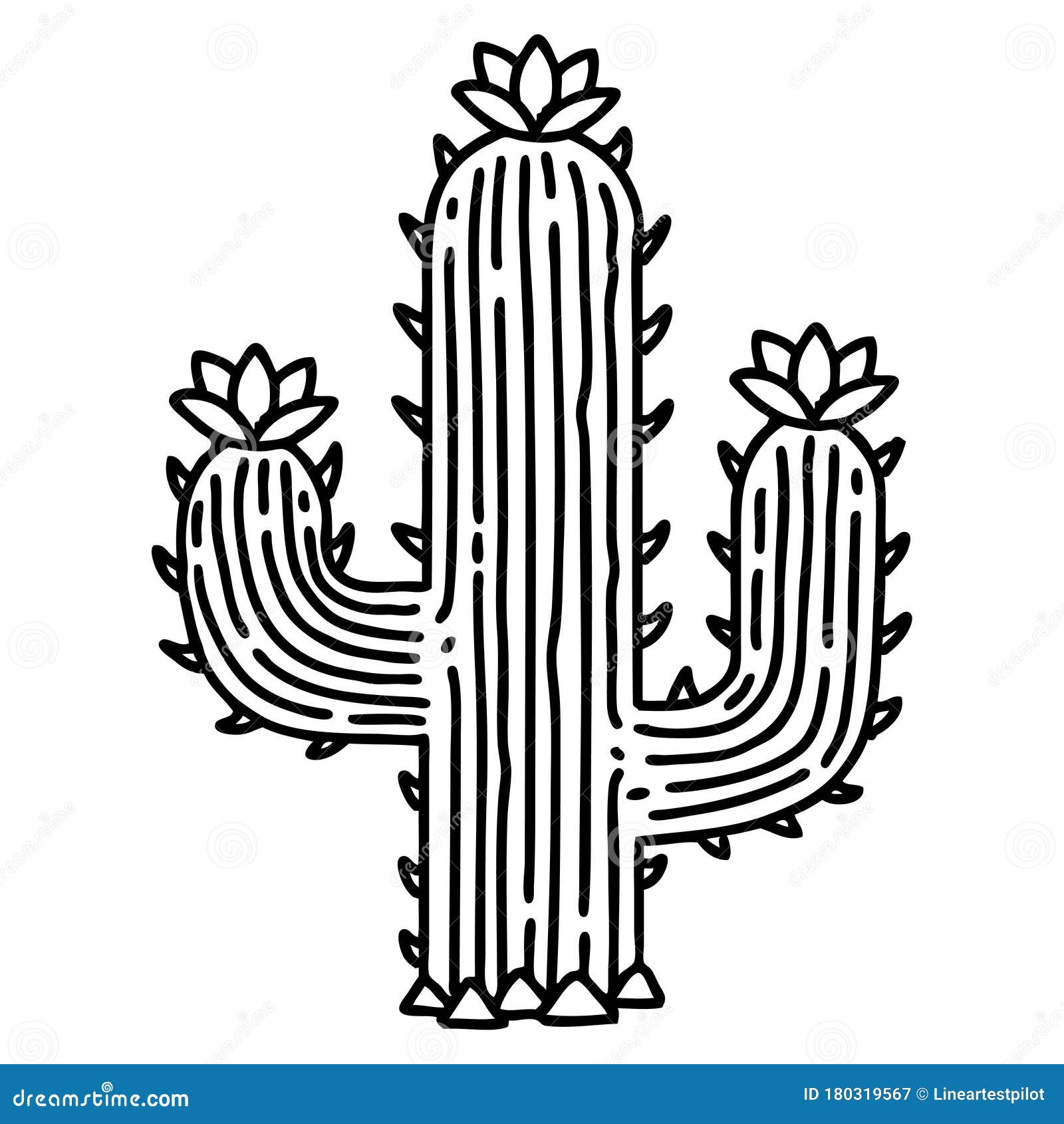 Barrel Cactus Temporary Tattoo  Set of 3  Tatteco