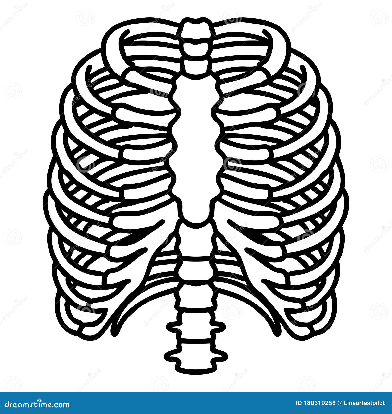 Black Line Tattoo of a Rib Cage Stock Vector - Illustration of line ...