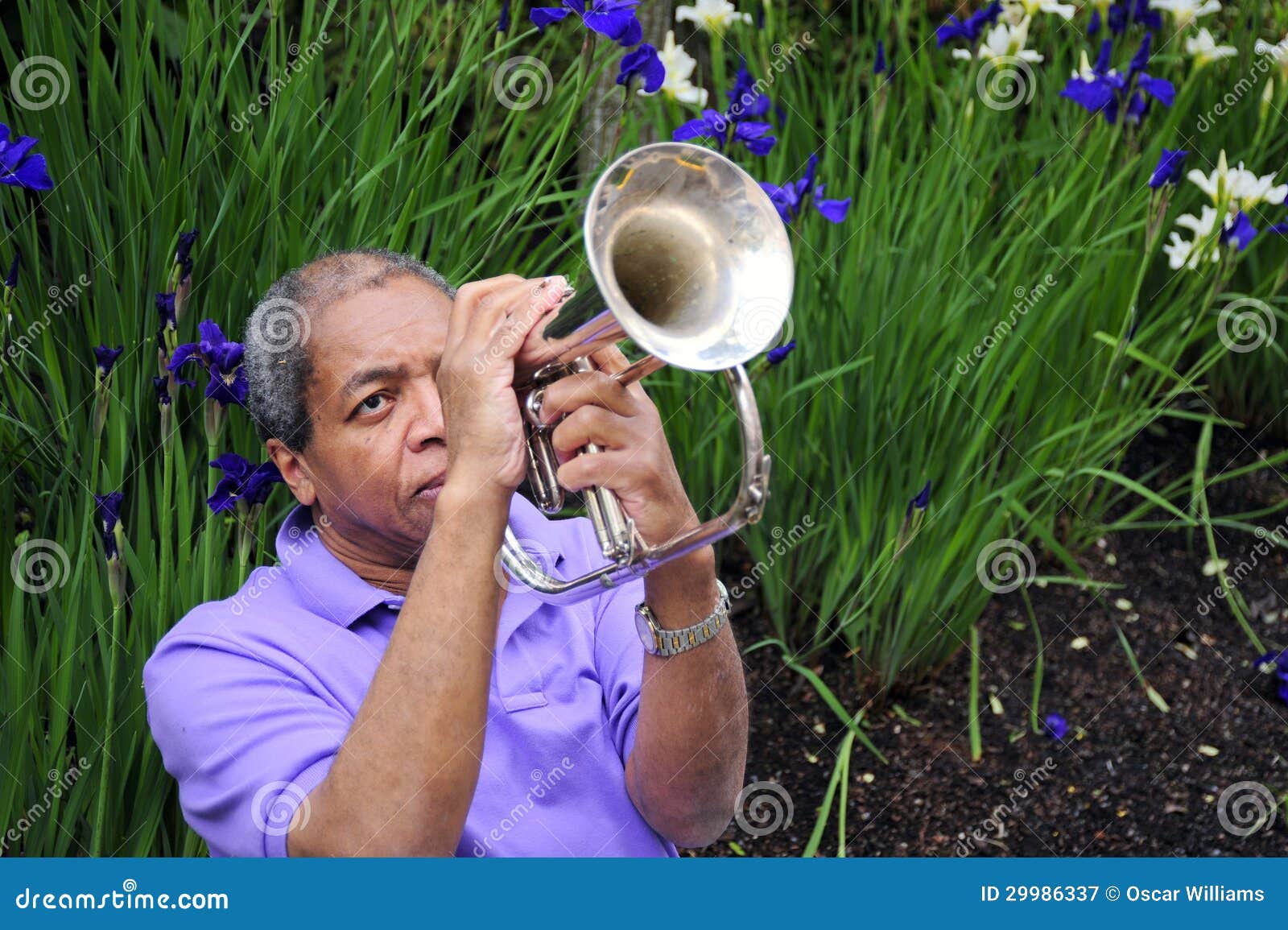 Jazz trumpet player. stock image. Image of flugelhorn 29986337