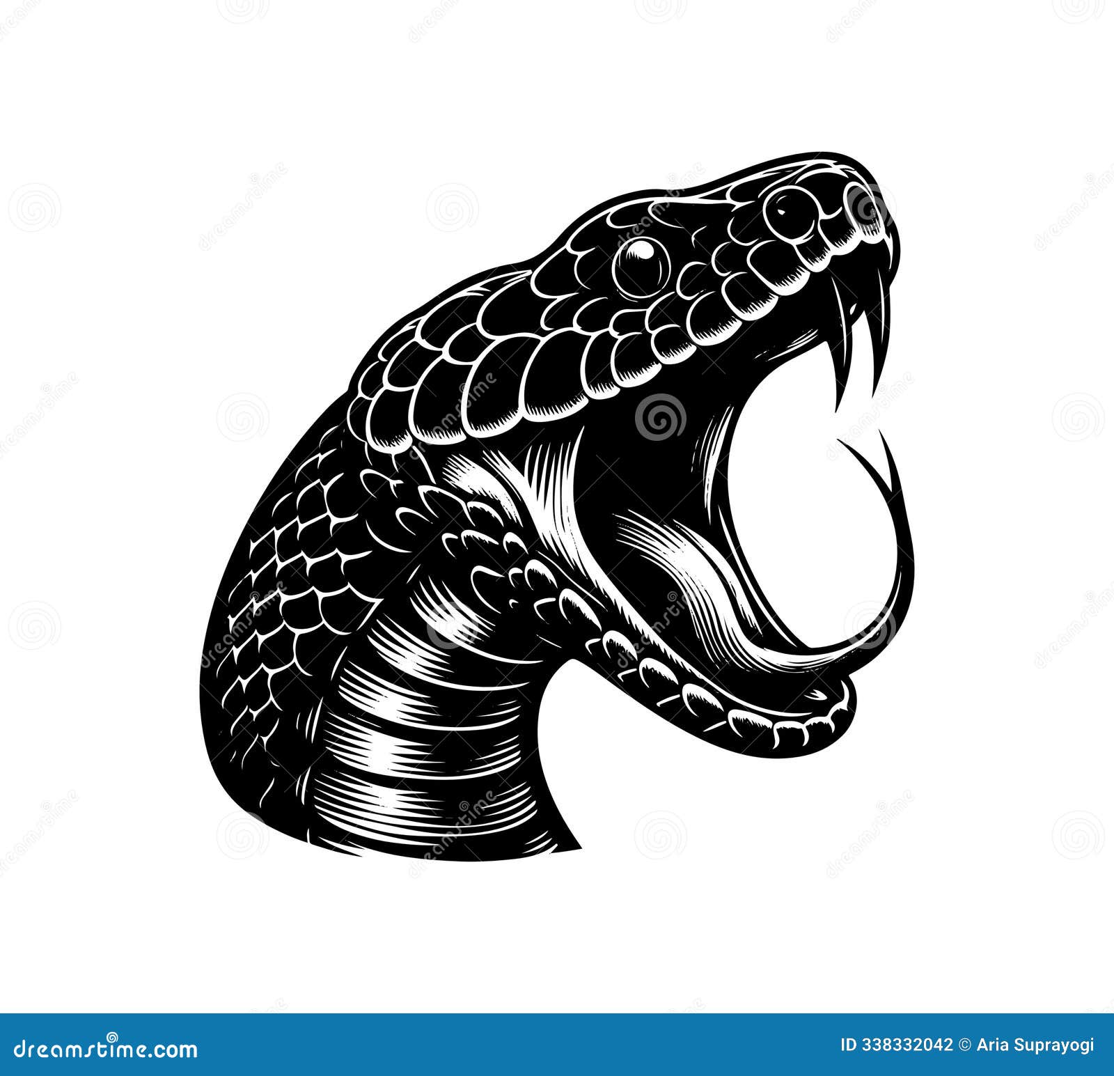 black mamba snake hand drawn  graphic asset