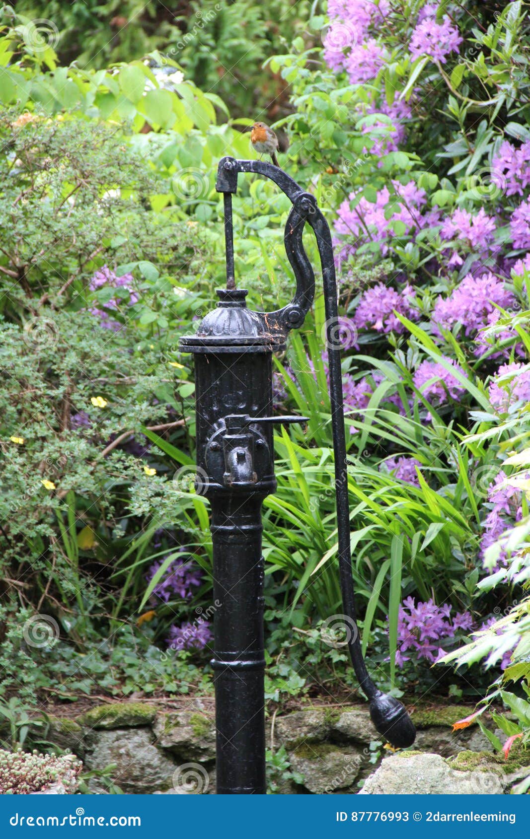 black metal old waterpump in a garden
