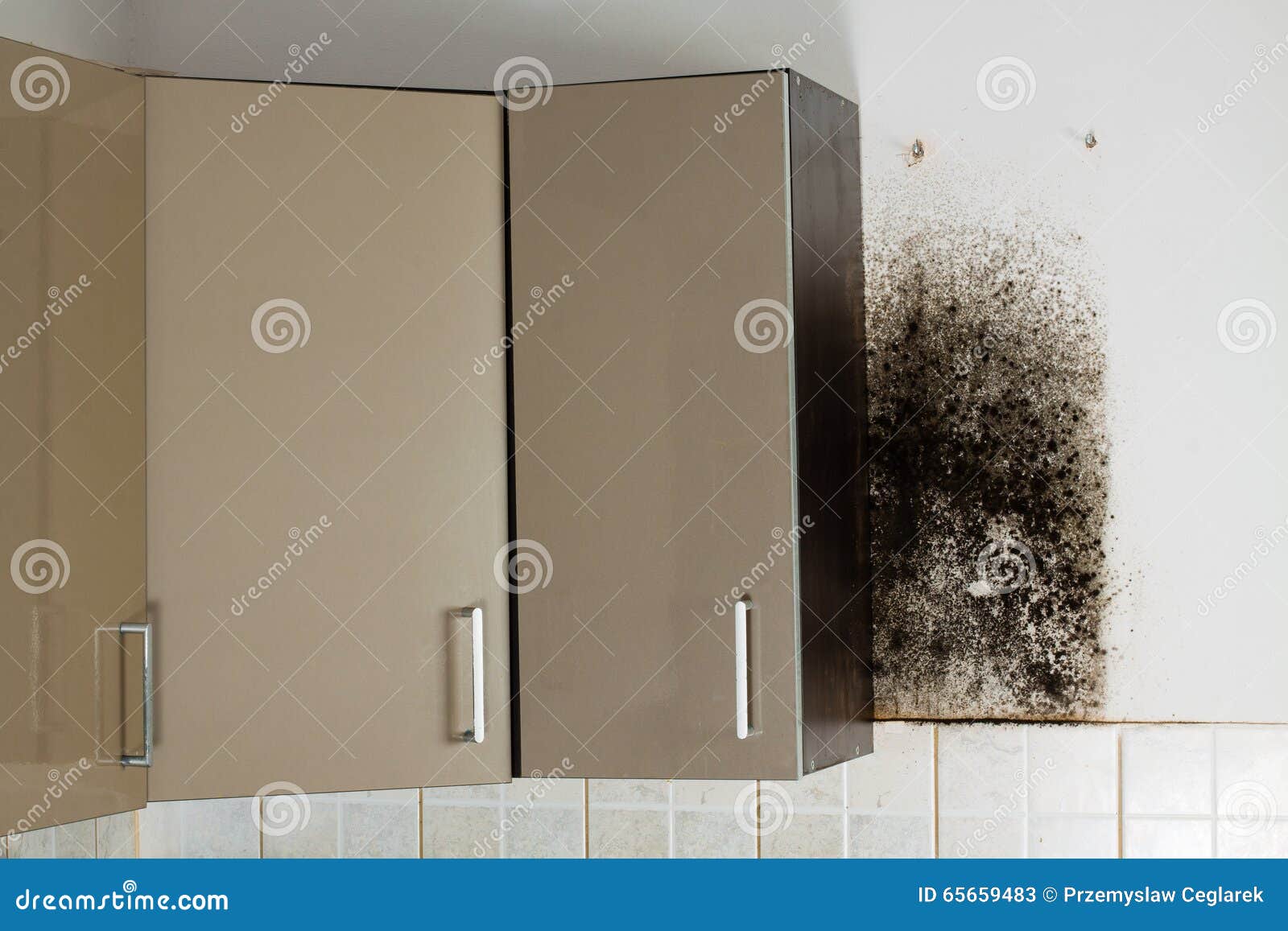 Black Mould Stock Image Image Of Interior Behind Cabinets