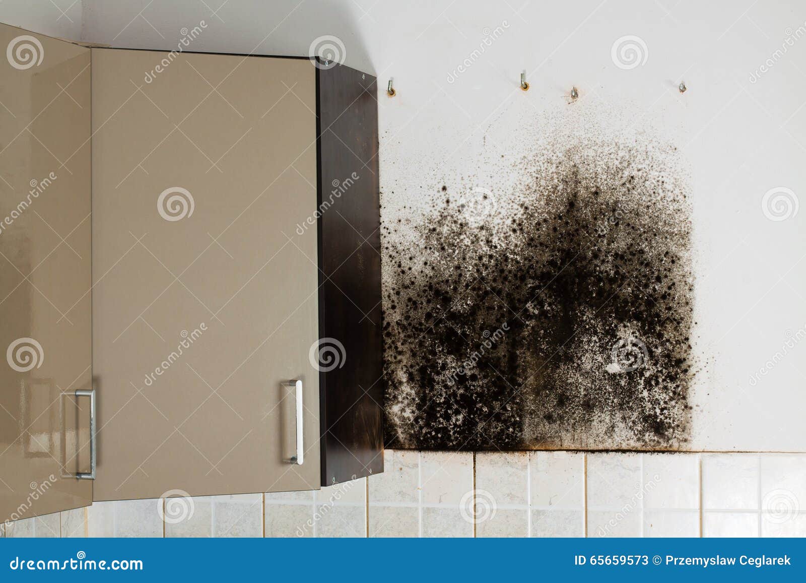 Black Mould Stock Image Image Of Mold Kitchen Corner 65659573