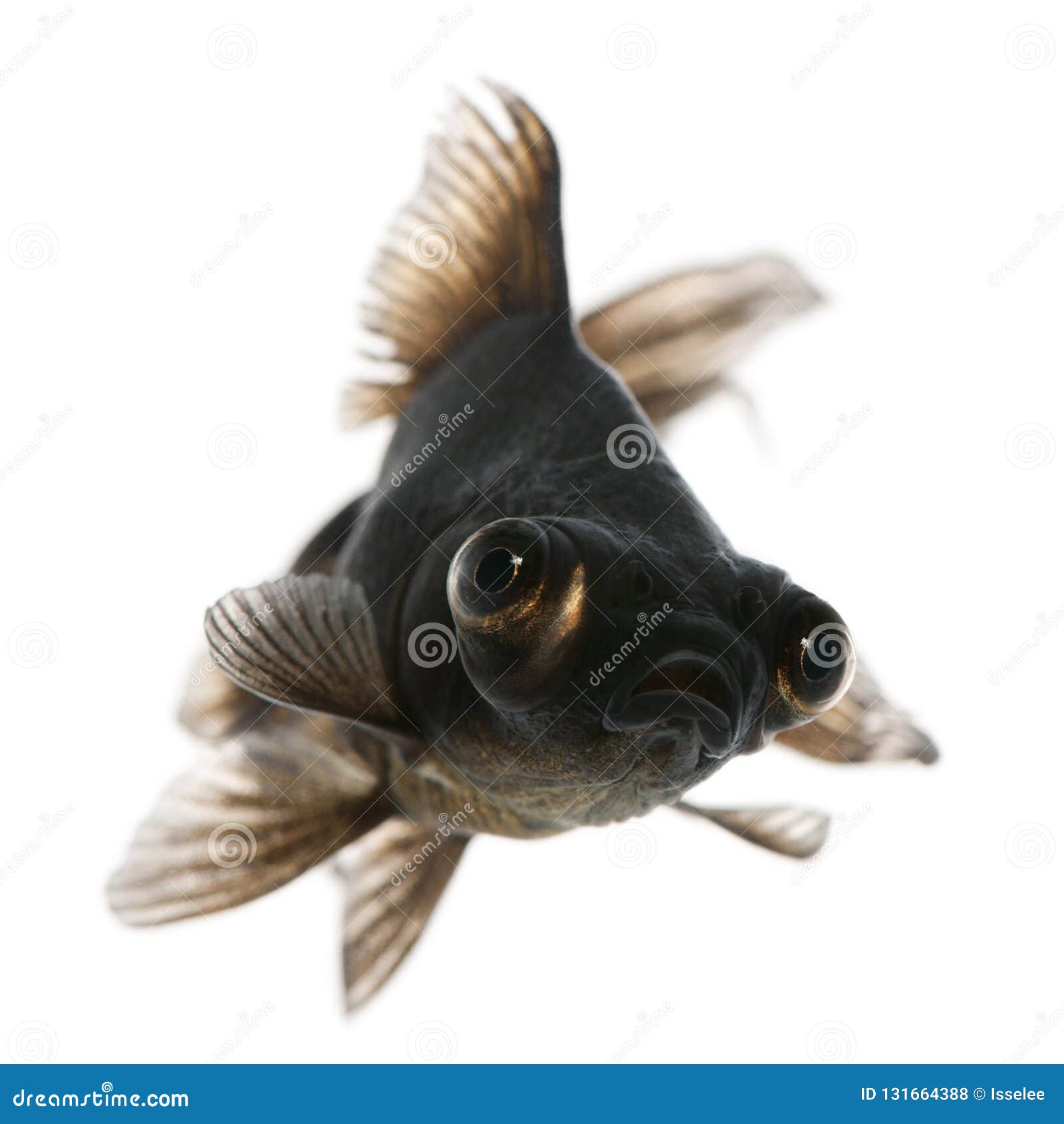 My Image 14