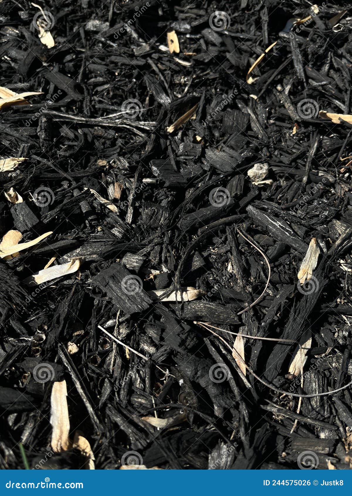 Black mulch for garden stock photo. Image of soil, mulch 244575026