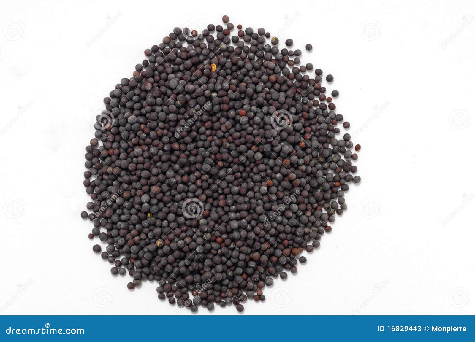 Black Mustard Seeds Jeera Cumin Seeds Cardamom Indian Spice Top Angle
