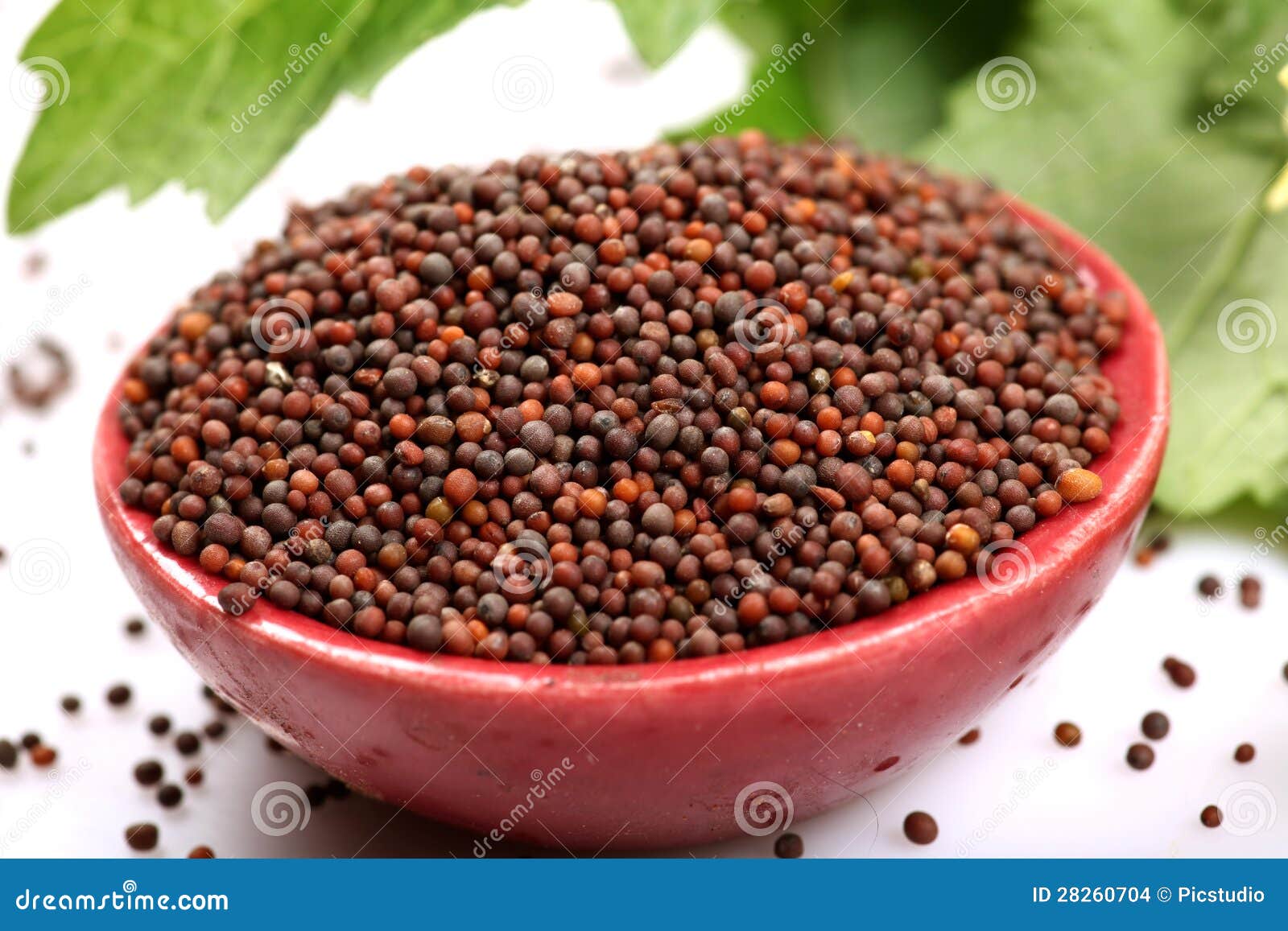 Black mustard seeds stock photo. Image of mustard, healthy 28260704