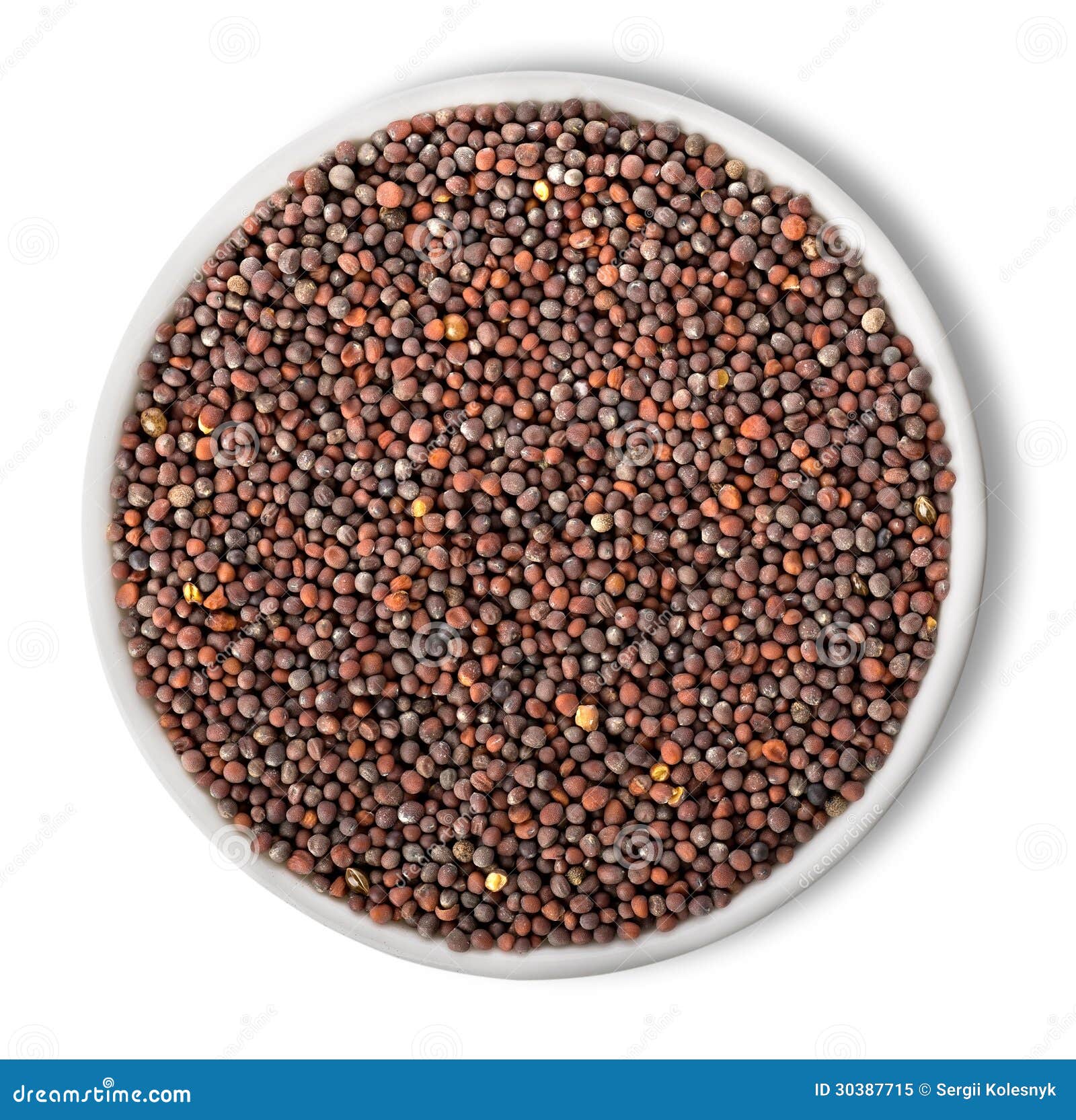 Black Mustard Seeds Jeera Cumin Seeds Cardamom Indian Spice Top Angle