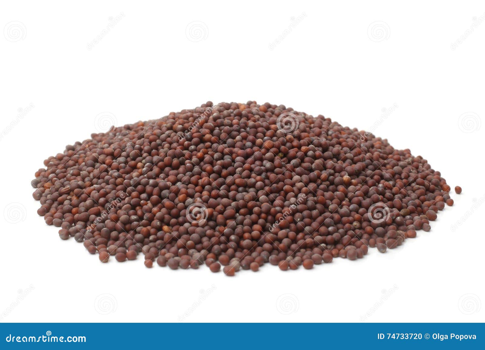 Black Mustard Seeds Jeera Cumin Seeds Cardamom Indian Spice Top Angle