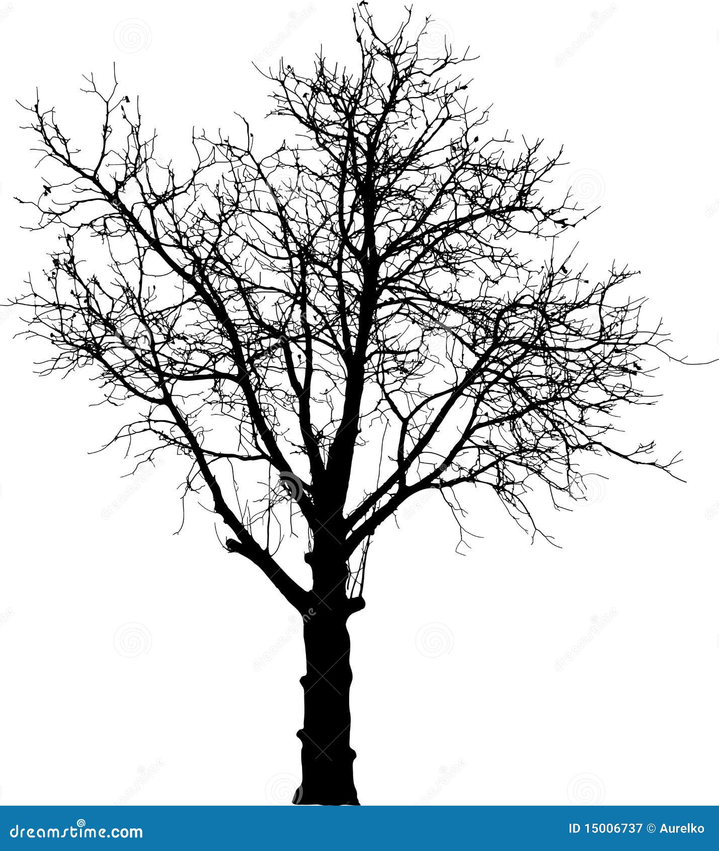 black naked tree