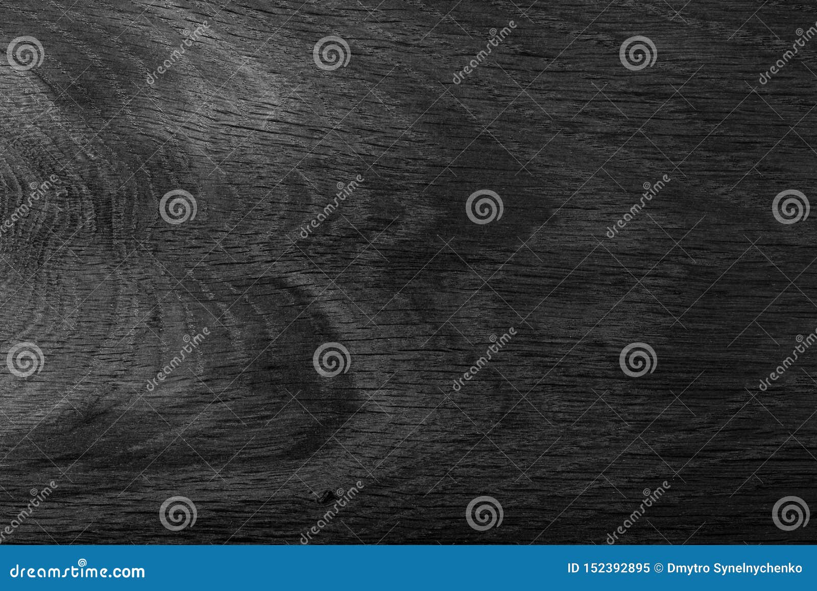 Black Natural Oak Wood. Expensive Ebony. High Quality Texture in Extremely High Resolution