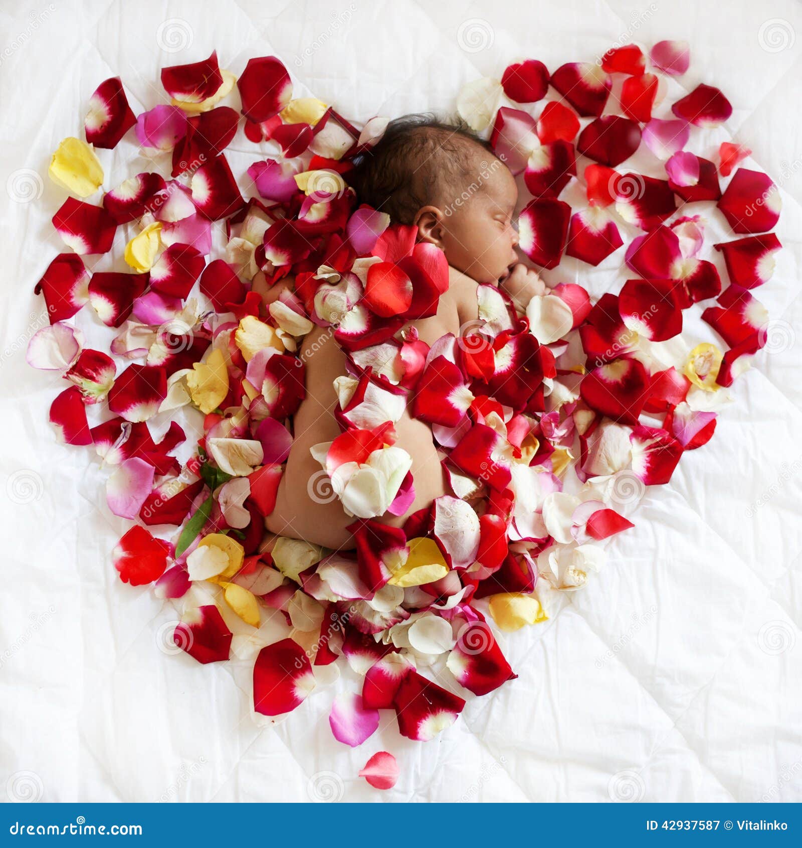 Black Newborn Baby Sleeping In Rose Petals Stock Image Image Of Funny Biracial