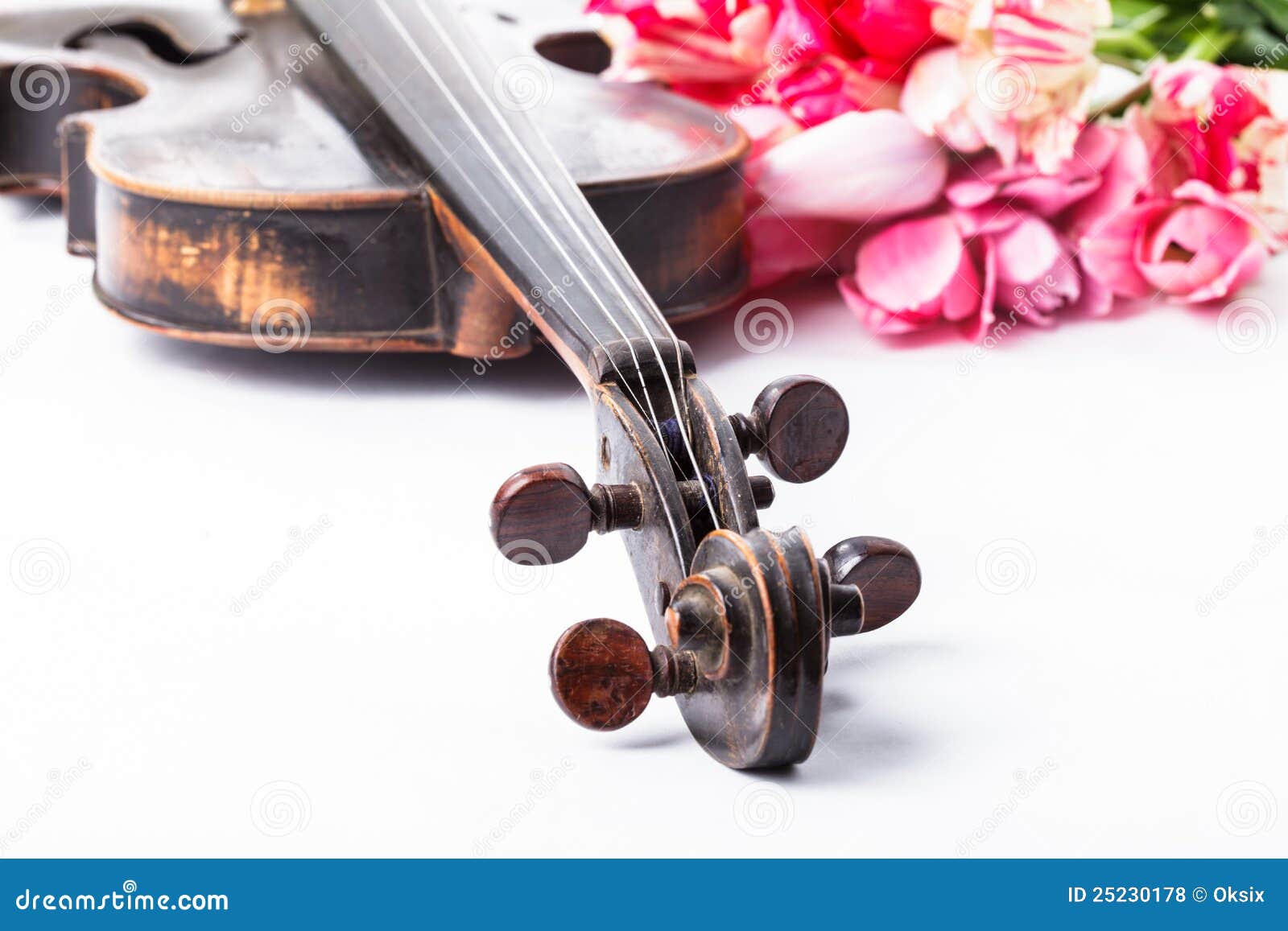 black violin a flat black violin a flat
