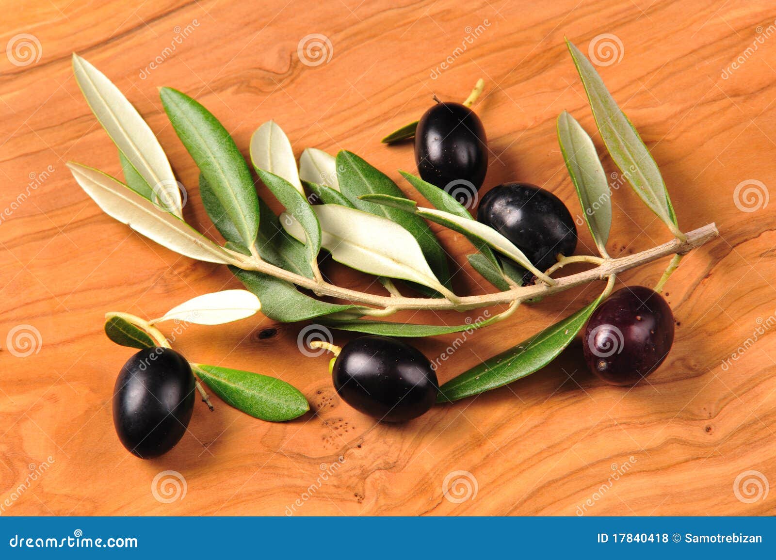Black olive fruits stock photo. Image of healthiness 17840418